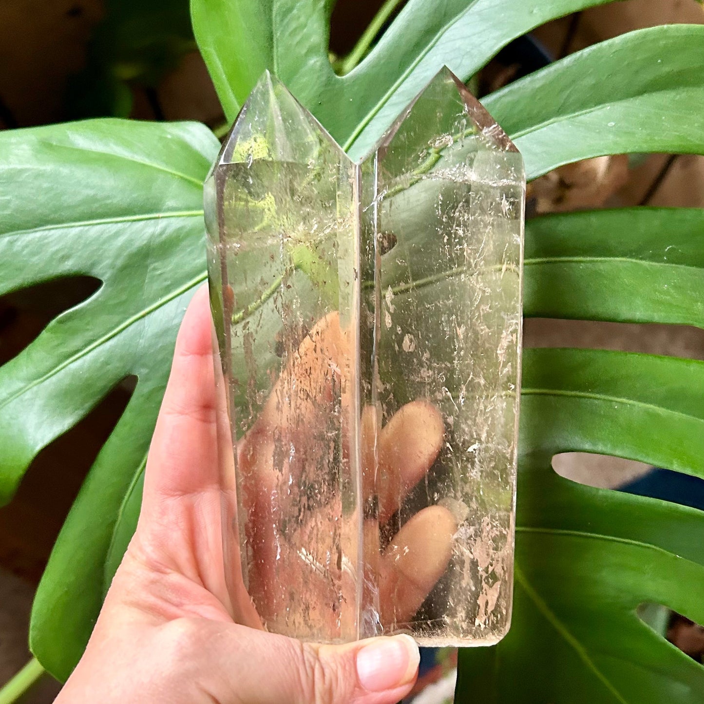Hand holding a transparent crystal with green leaves in the background