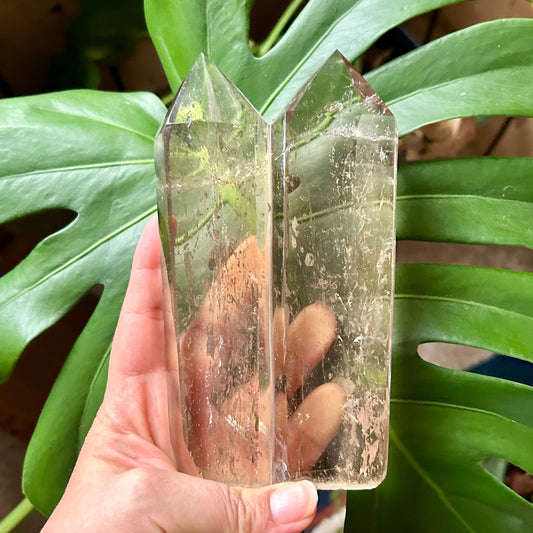 Hand holding a transparent crystal with green leaves in the background