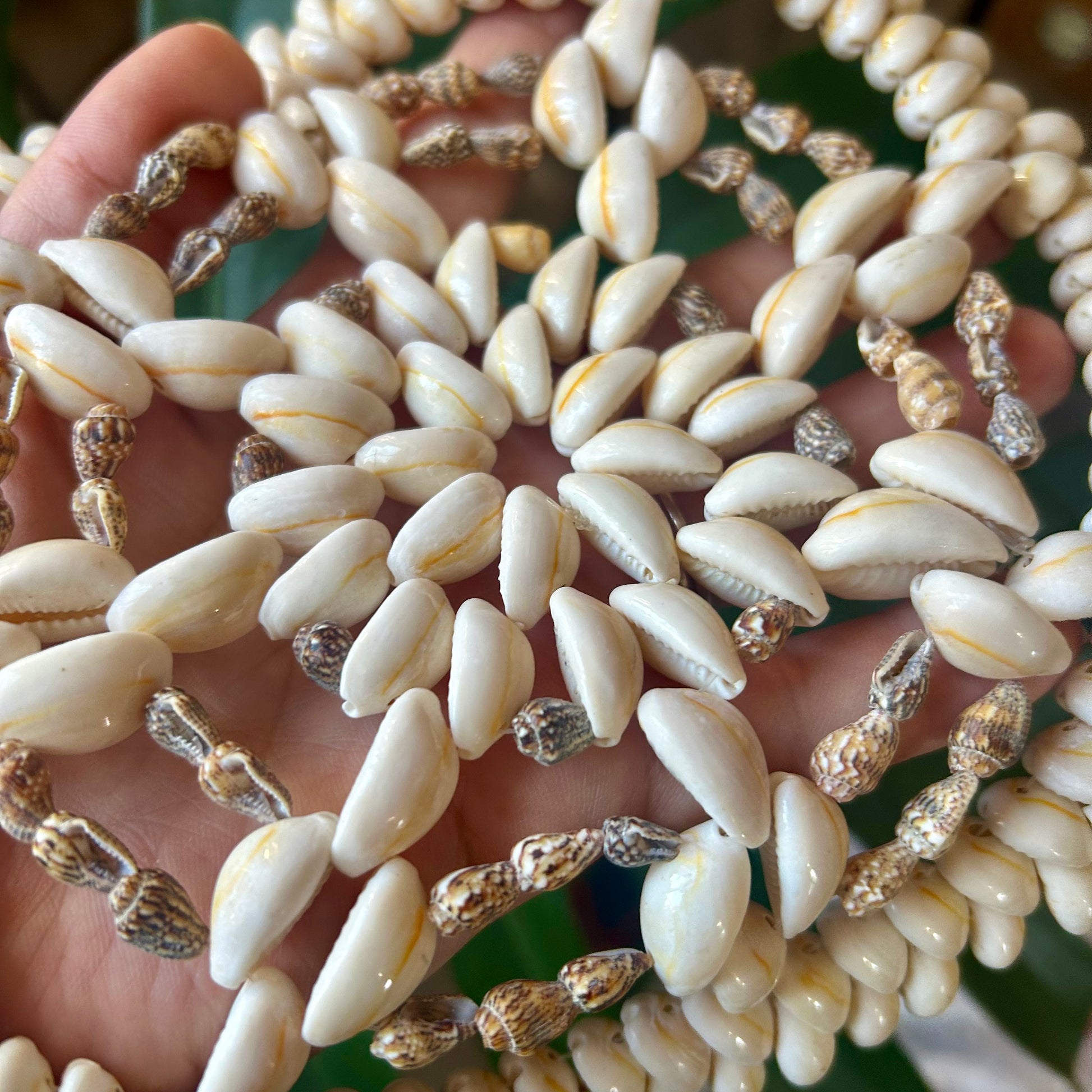 Close-up of a shell necklace with gold accents held in hand
