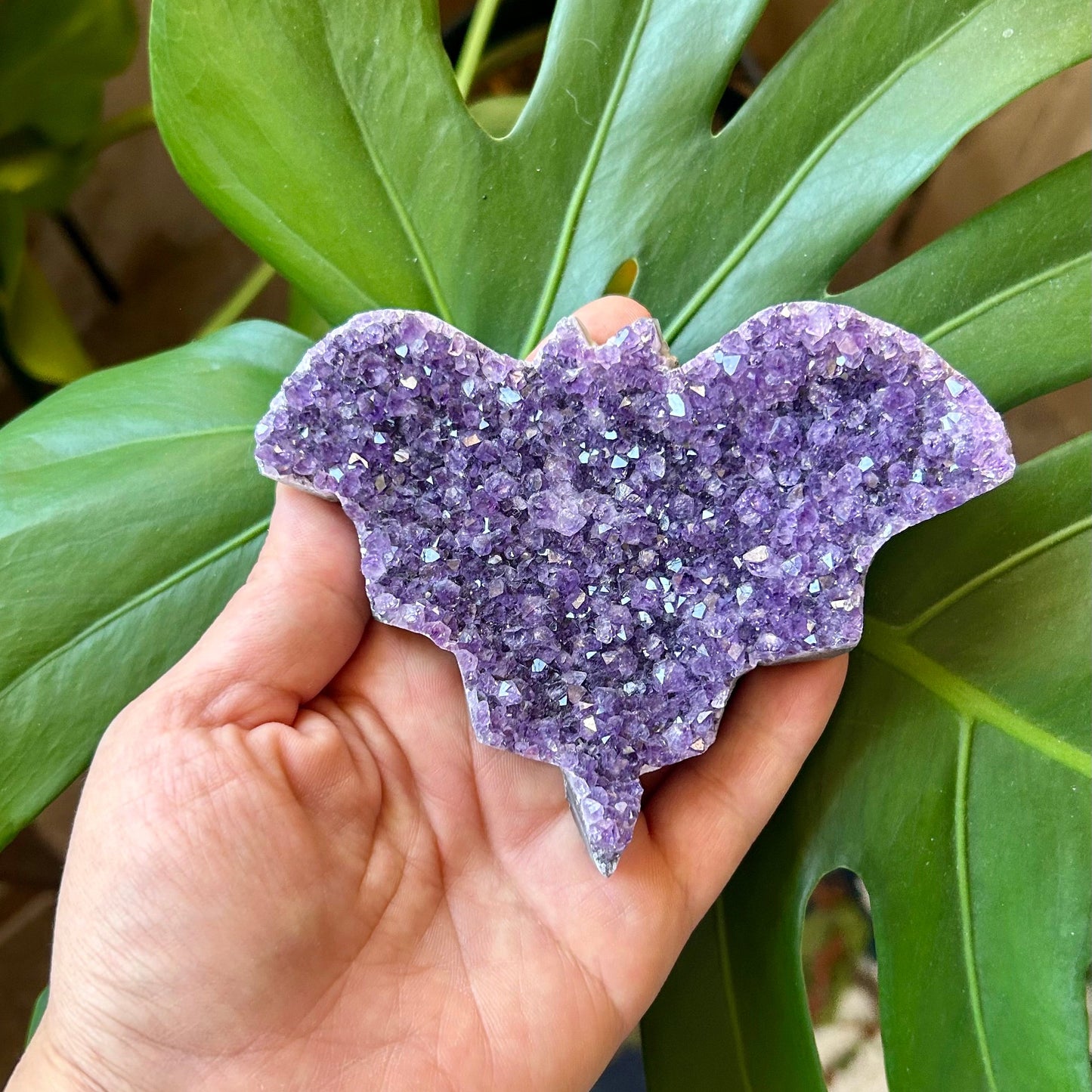 Hand holding a purple heart-shaped crystal against a green leafy background