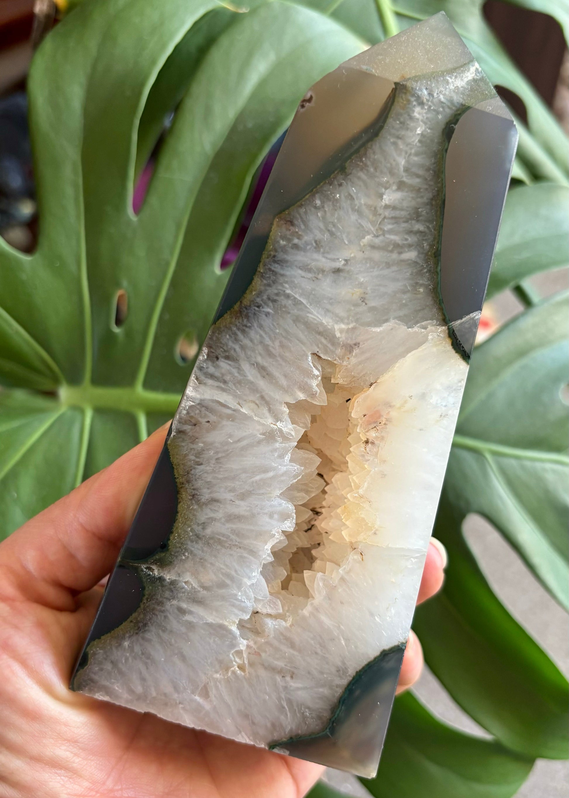 Hand holding a piece of raw fish with a green leafy background