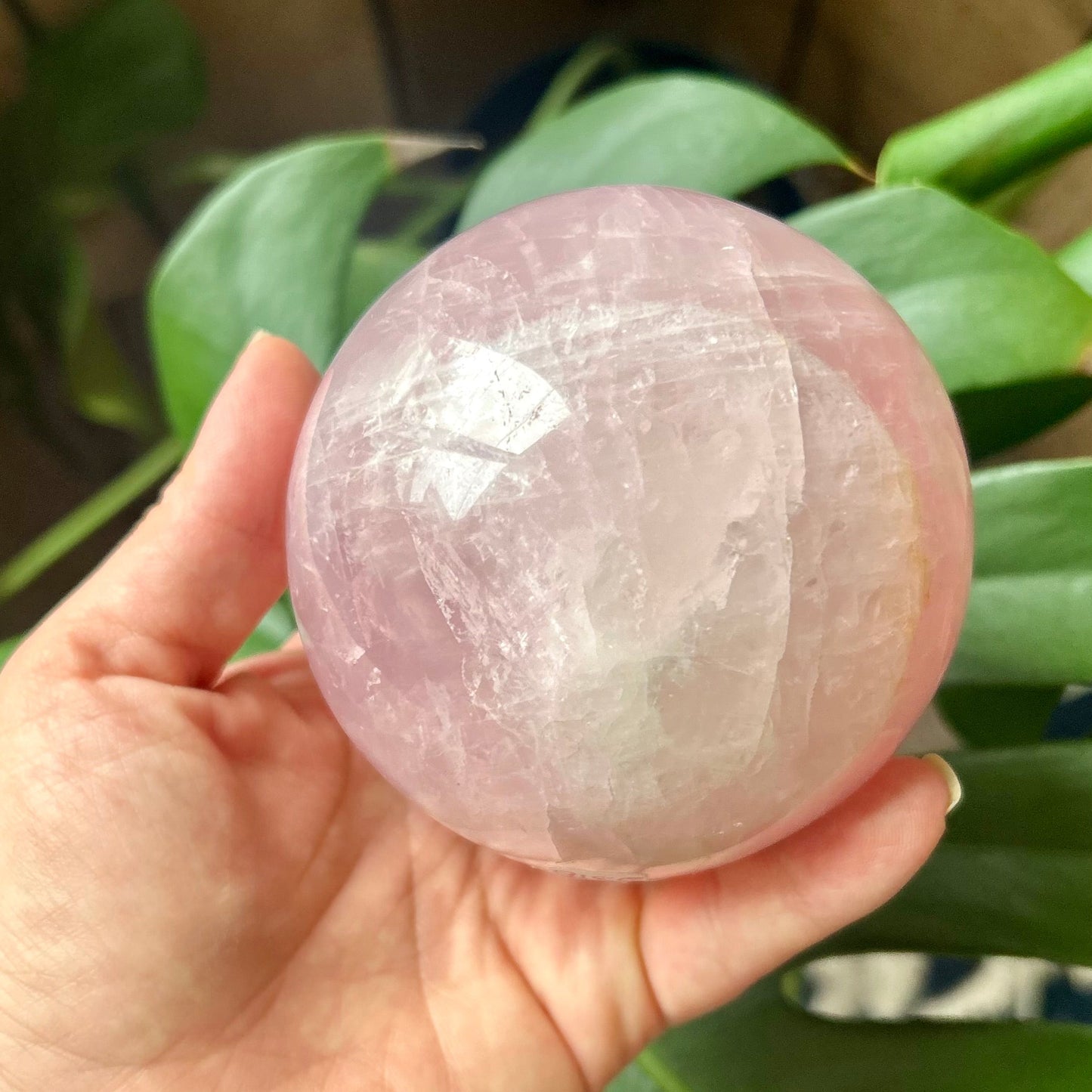Hand holding a pink crystal ball with green plants in the background