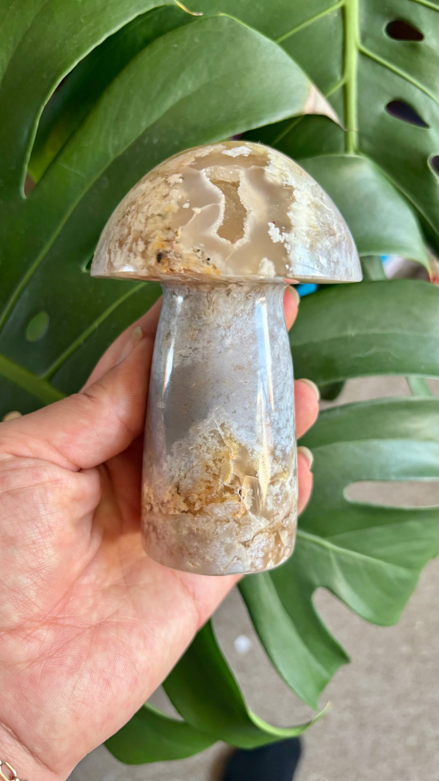 Flower Agate Mushroom