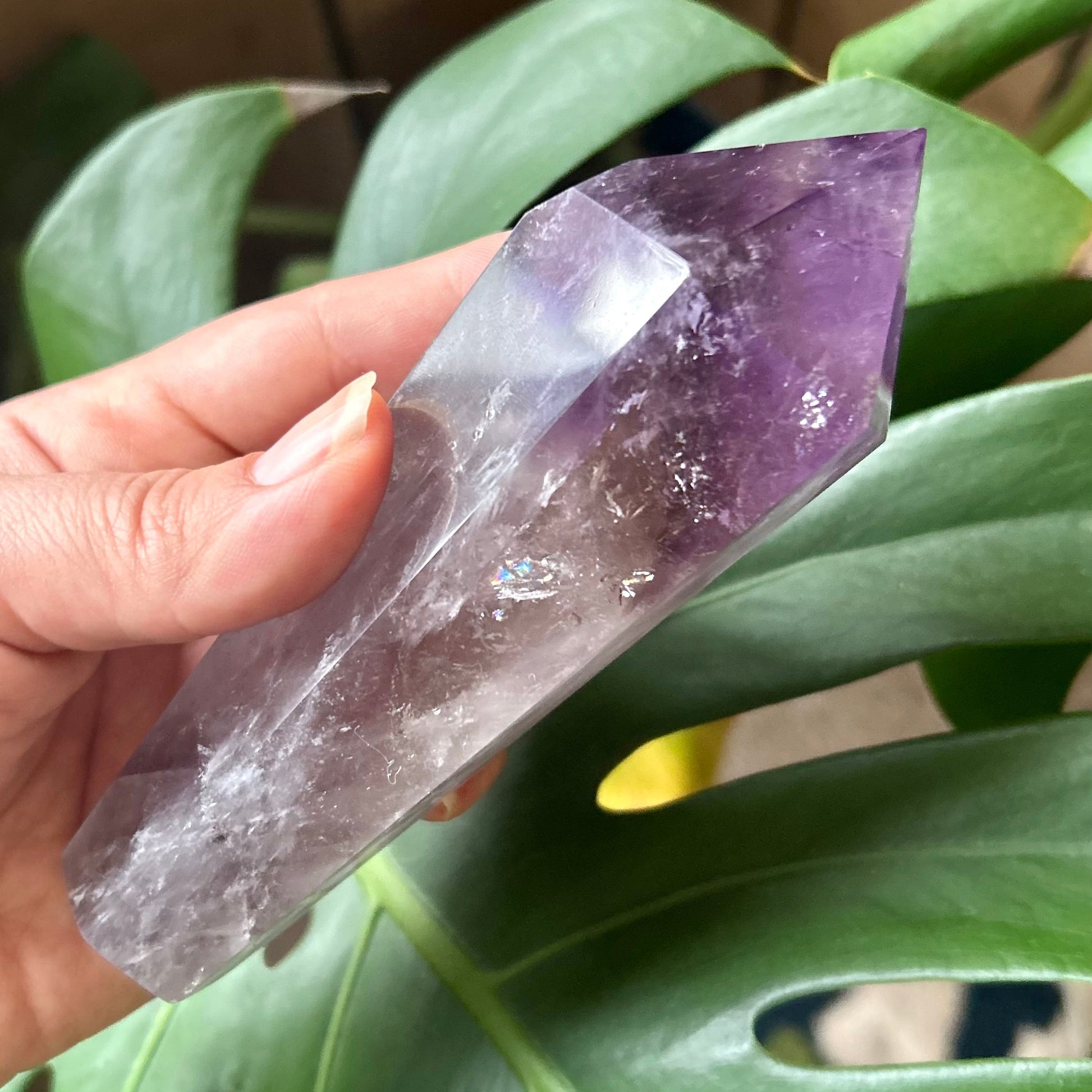 Hand holding a crystal next to a plant with a wooden background