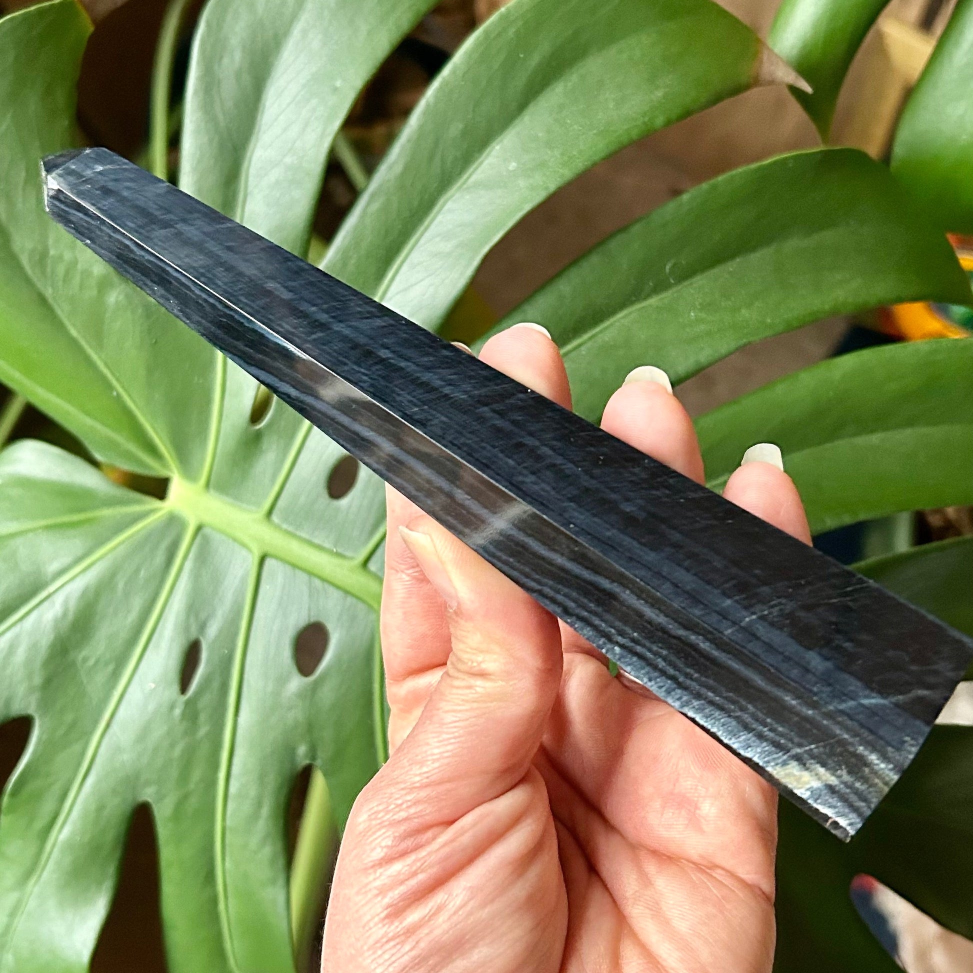 Hand holding a long, dark object in front of a green plant