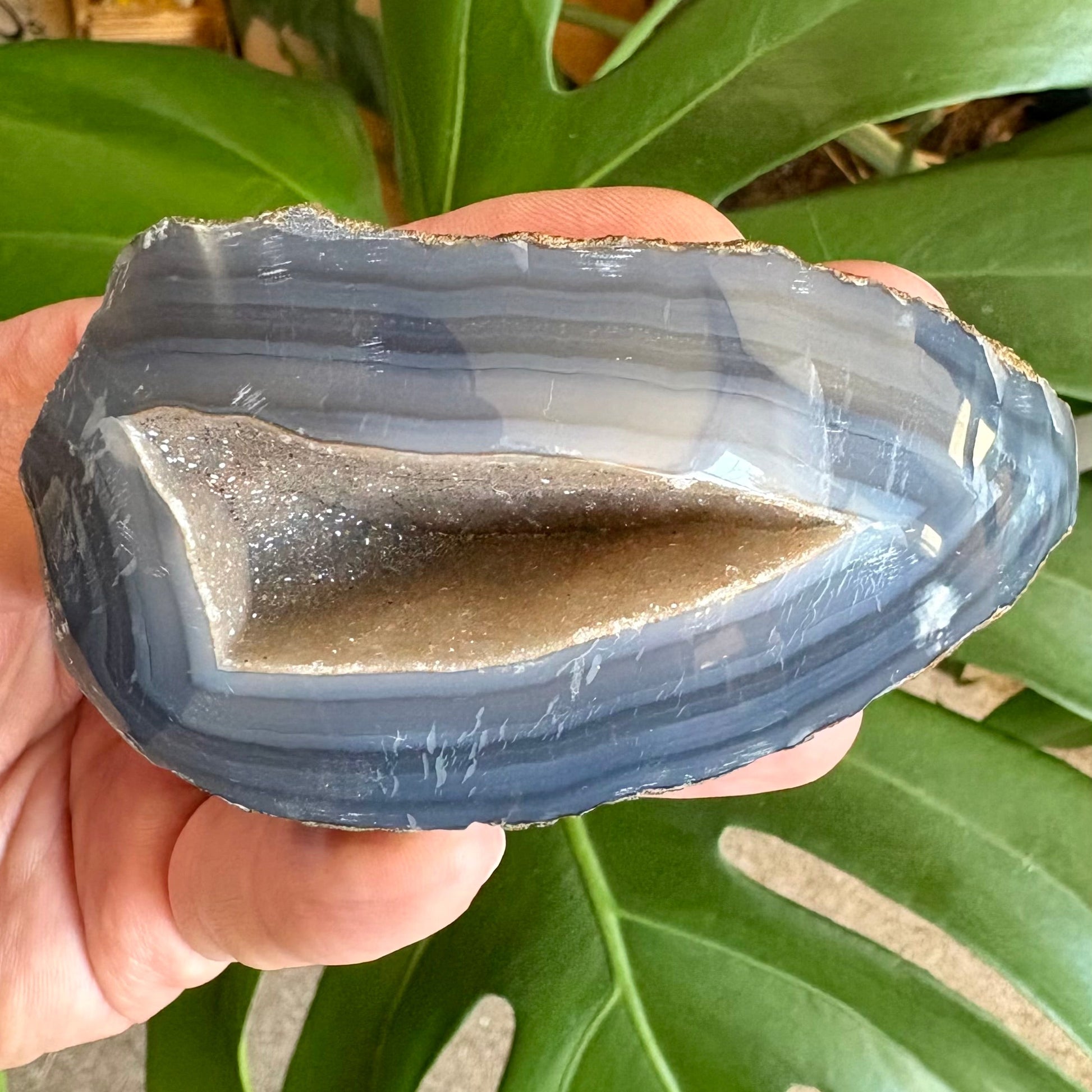 Person holding a blue agate crystal with green leaves in the background