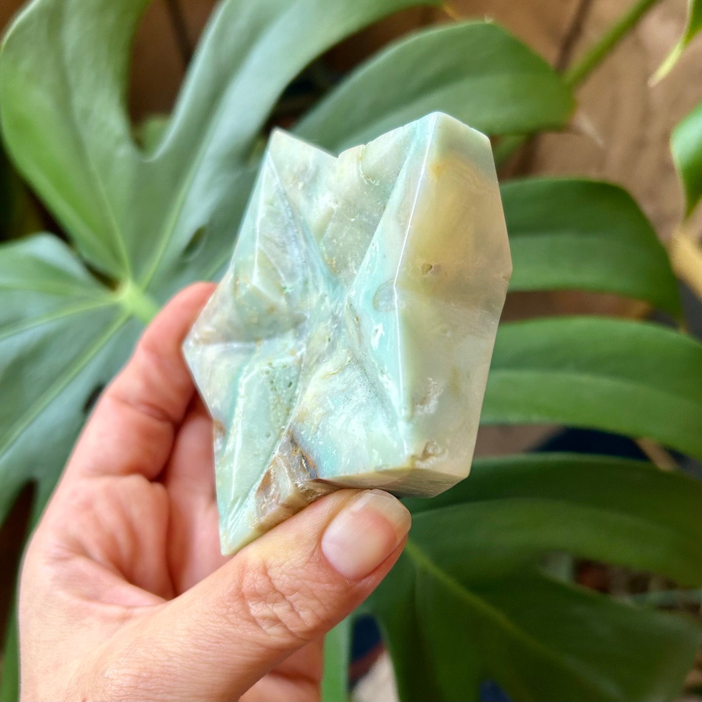 Hand holding a piece of green soap with a leafy background