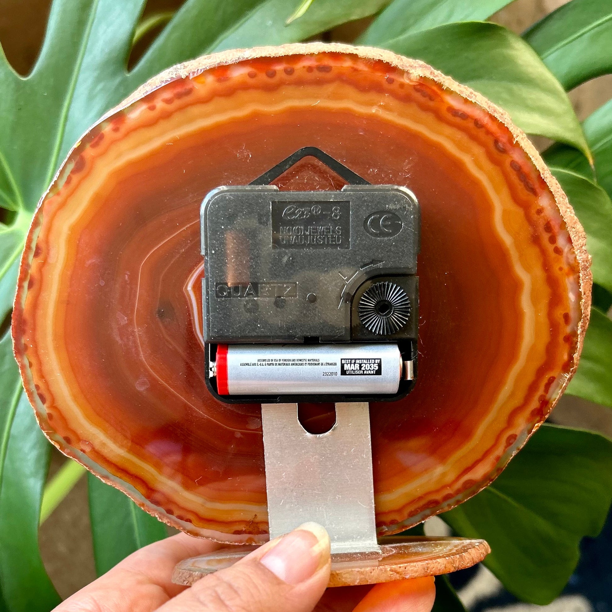 Hand holding a small electronic device on a decorative stone surface with green leaves in the background