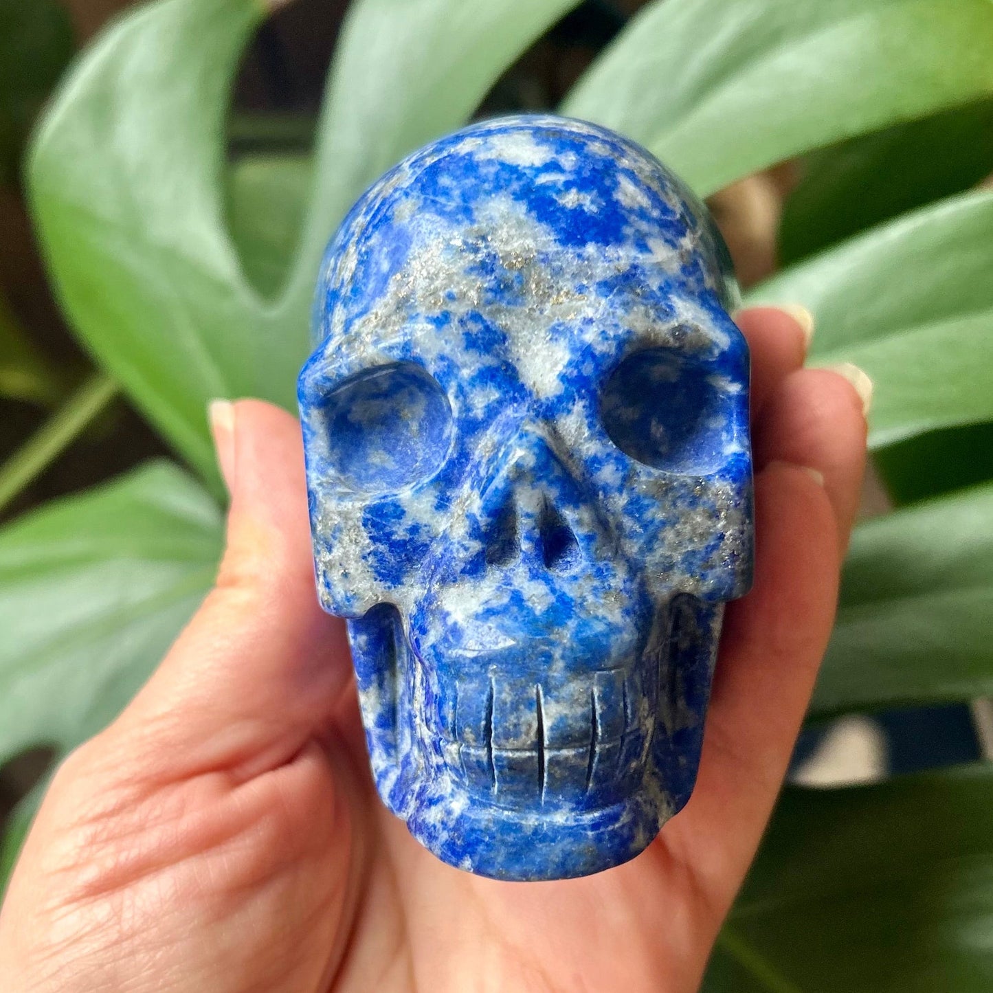 Blue crystal skull held in a hand with green leaves in the background