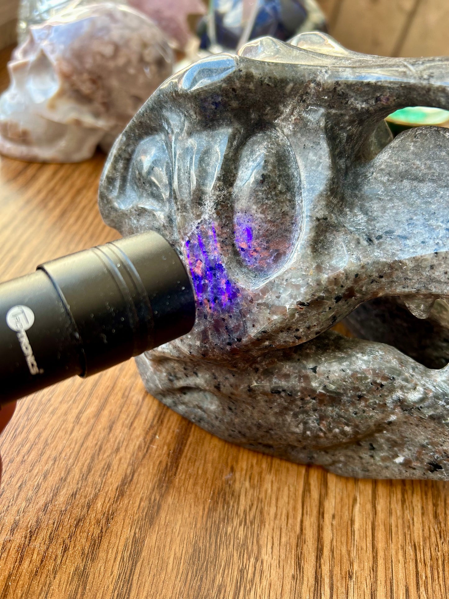 Yooperlite Dinosaur Skull Carving 4+ lb