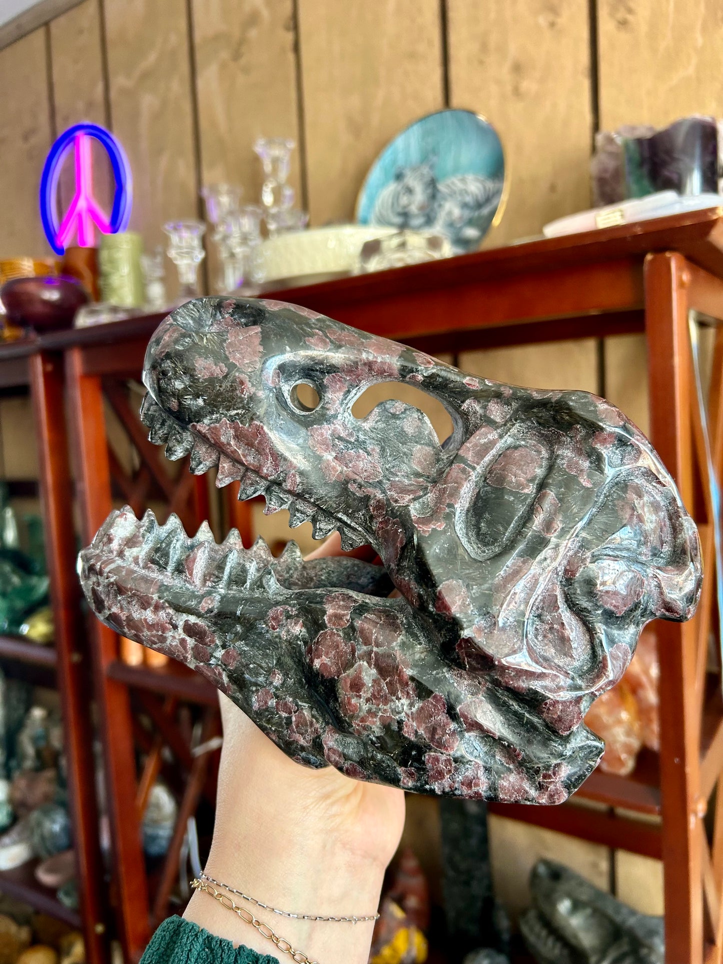 Firework Garnet Dinosaur Skull Carving 5+ lb