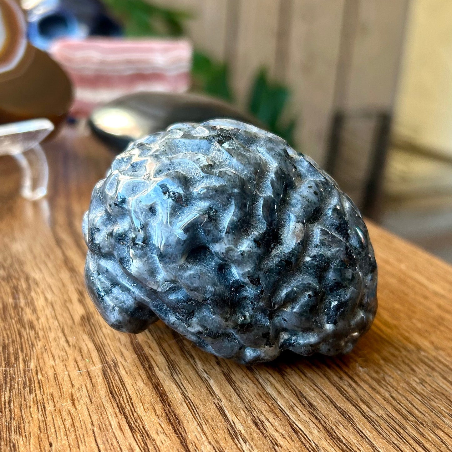 Decorative stone brain on a wooden surface with a blurred background