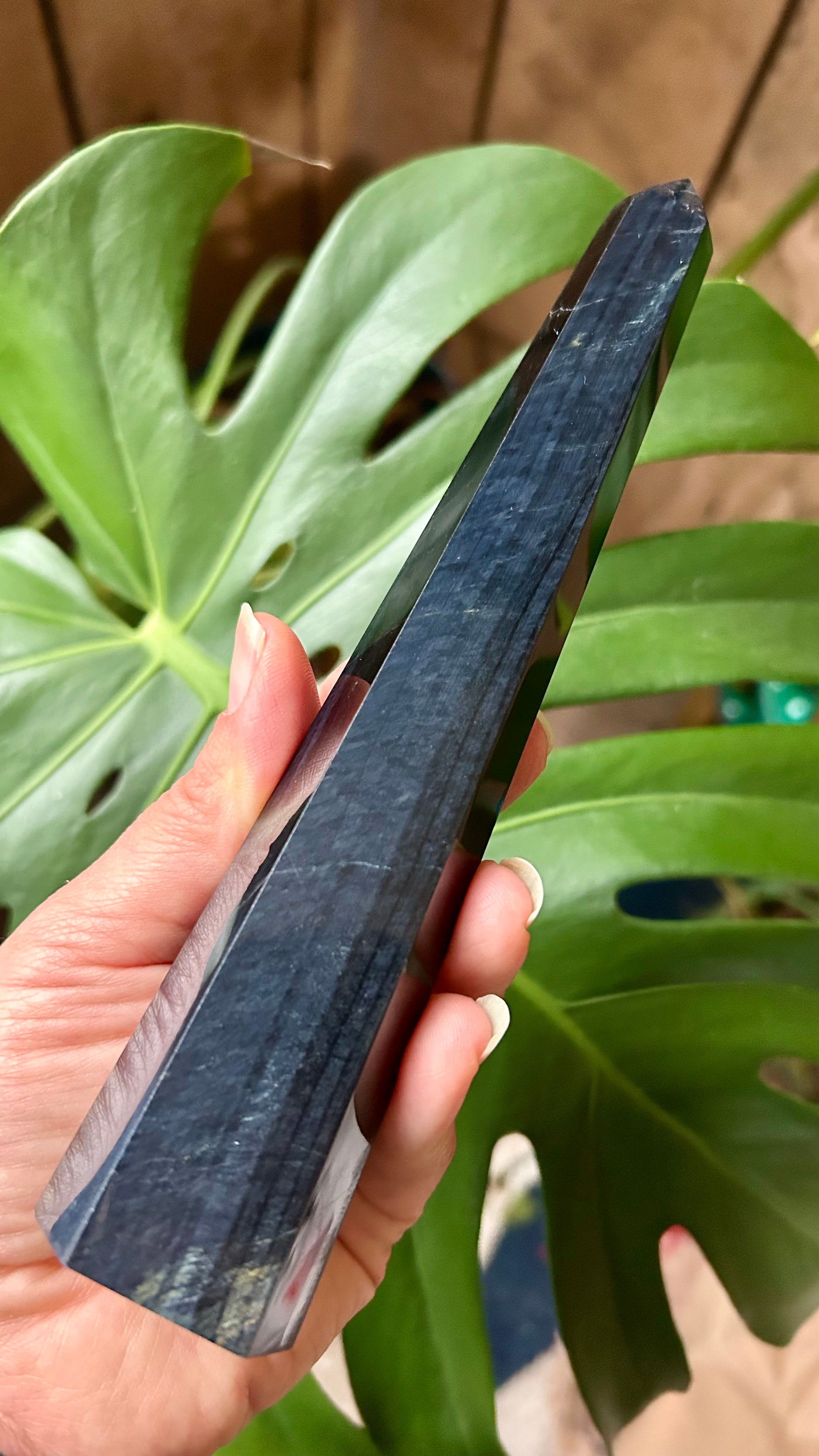 Hand holding a dark blue object with green leaves in the background