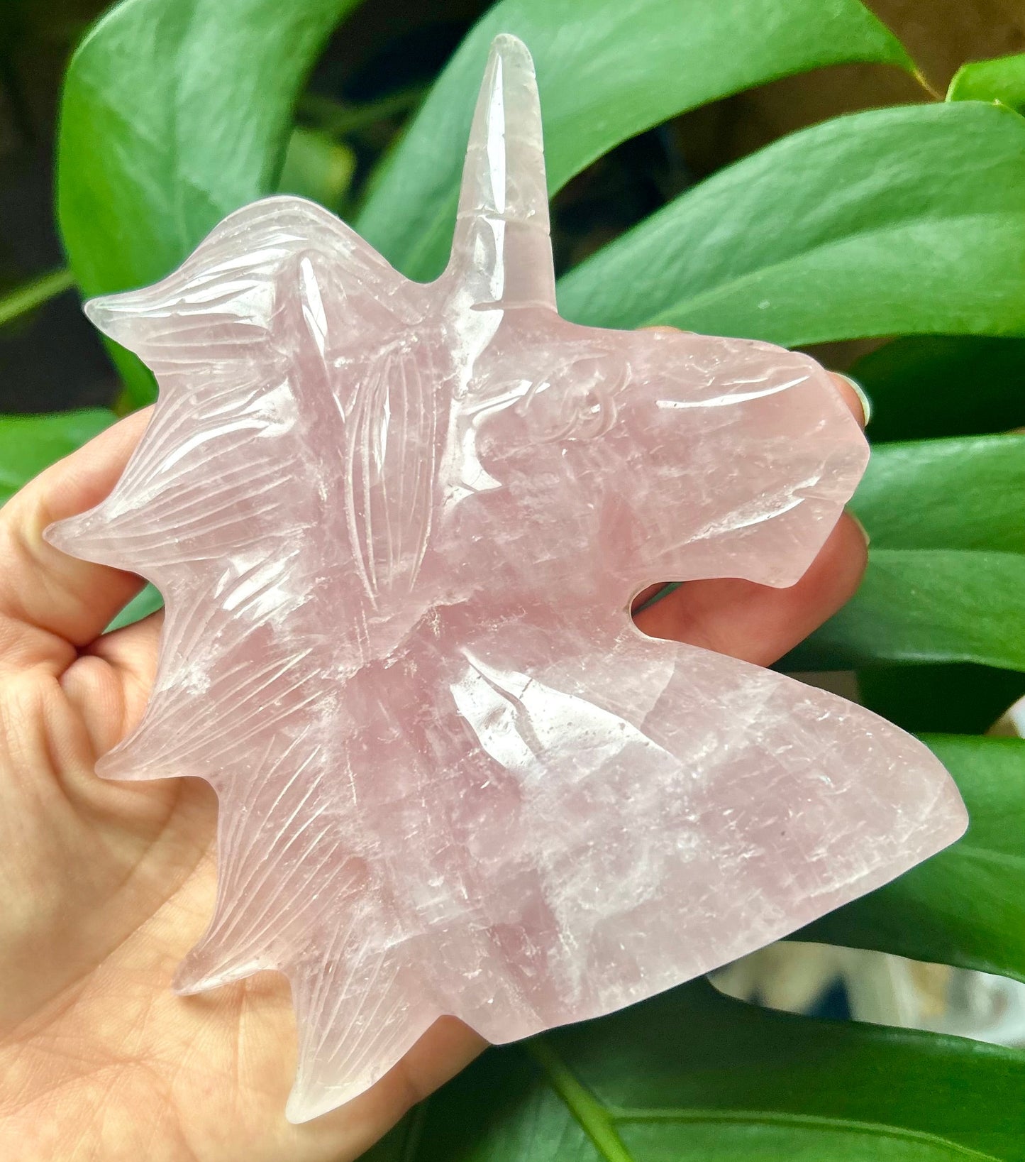 Hand holding a crystal against a green leafy background