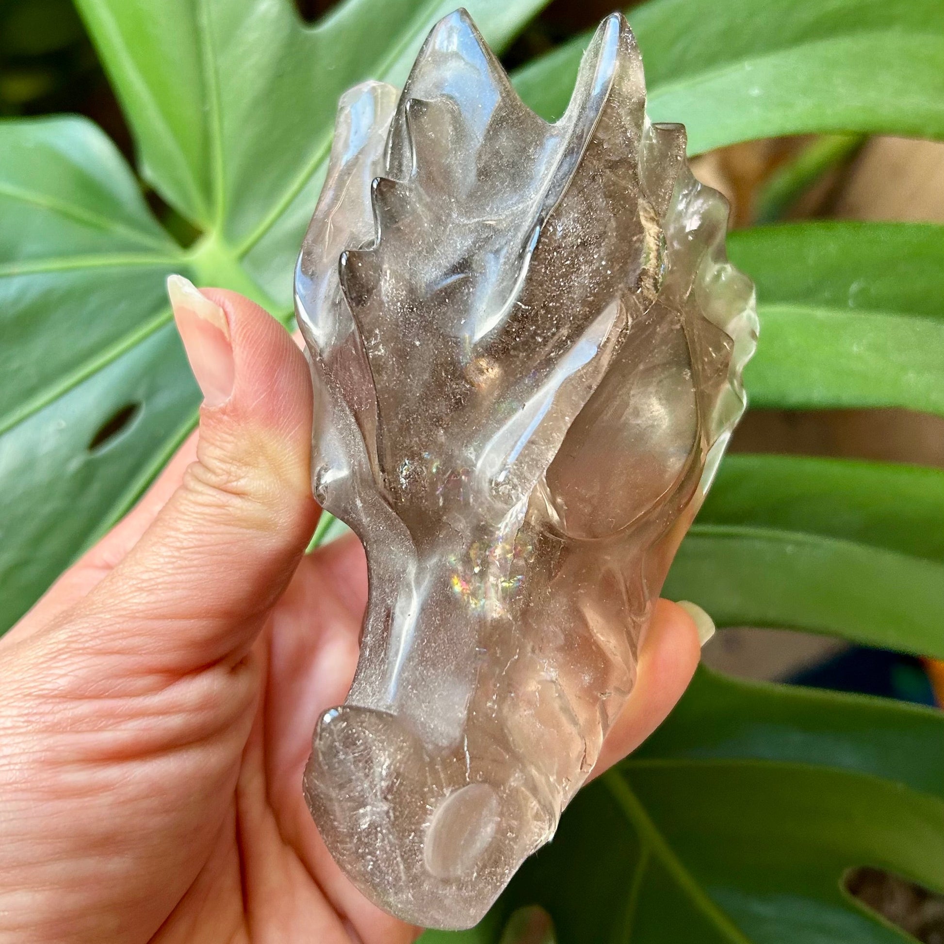Clear crystal object held by a hand with green leaves in the background