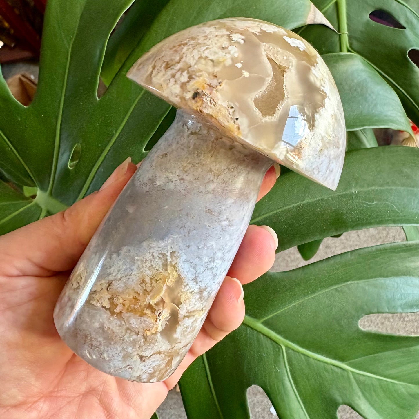 Clear crystal with embedded stones held against a leafy green background