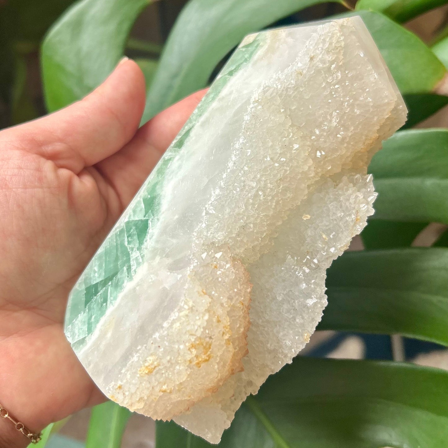 Hand holding a piece of white crystal against a green leafy background