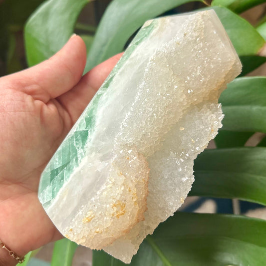 Hand holding a piece of white crystal against a green leafy background