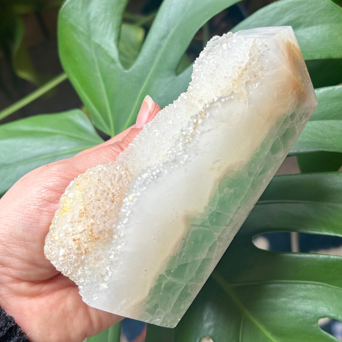 Hand holding a bar of soap with a plant in the background
