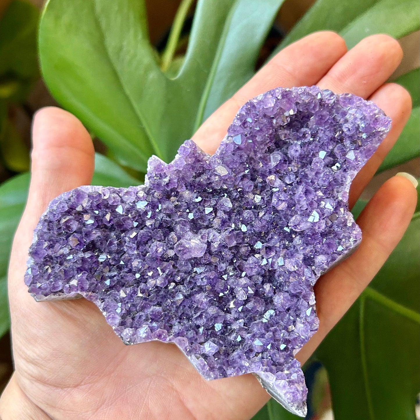 Hand holding a purple crystal leaf-shaped stone with green leaves in the background
