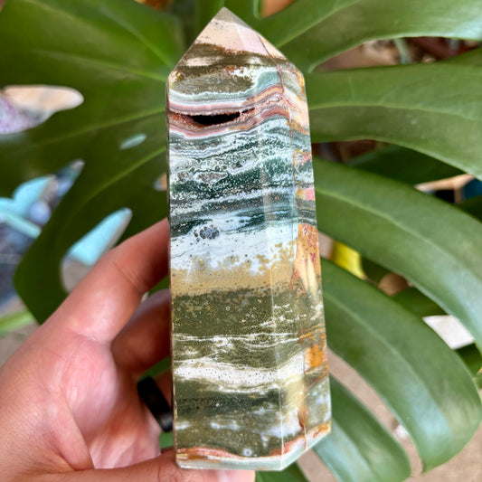Hand holding a multicolored crystal against a green leafy background