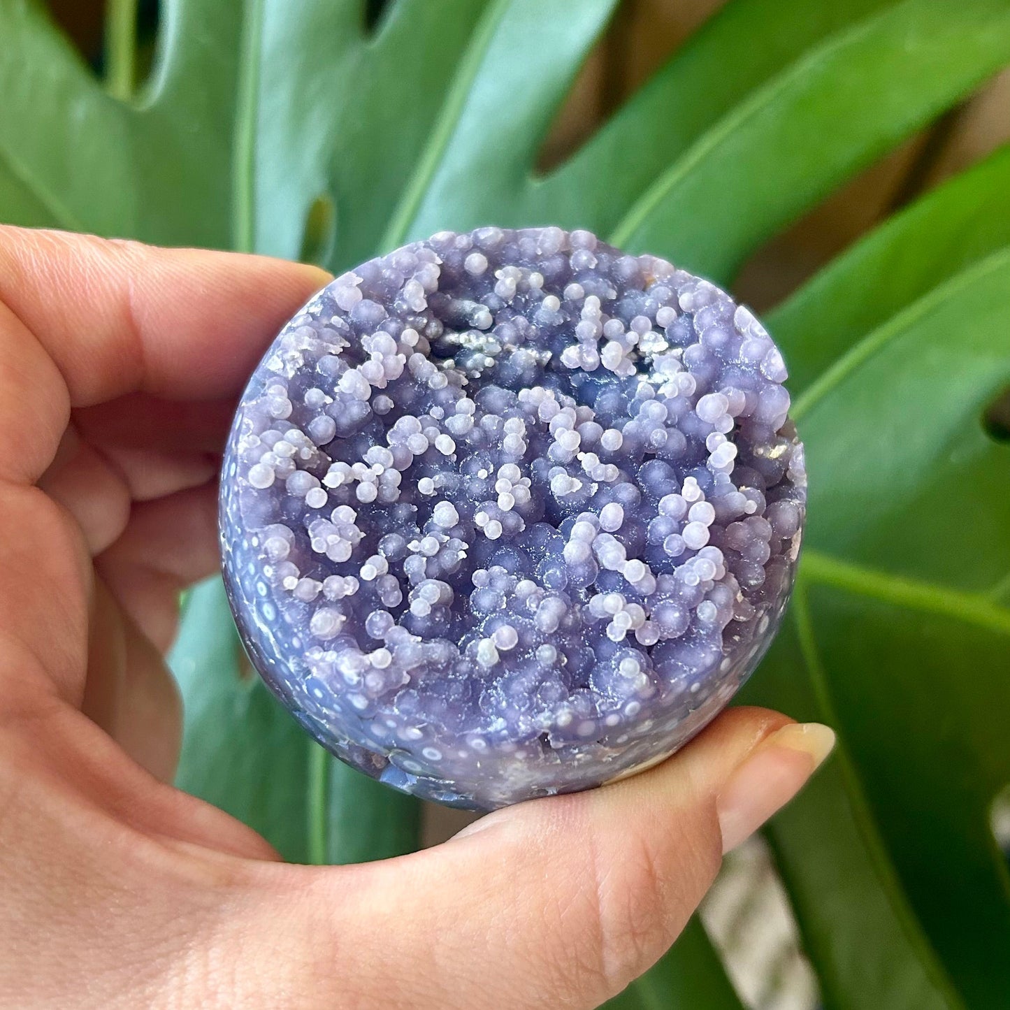 Hand holding a purple crystal ball with green leaves in the background