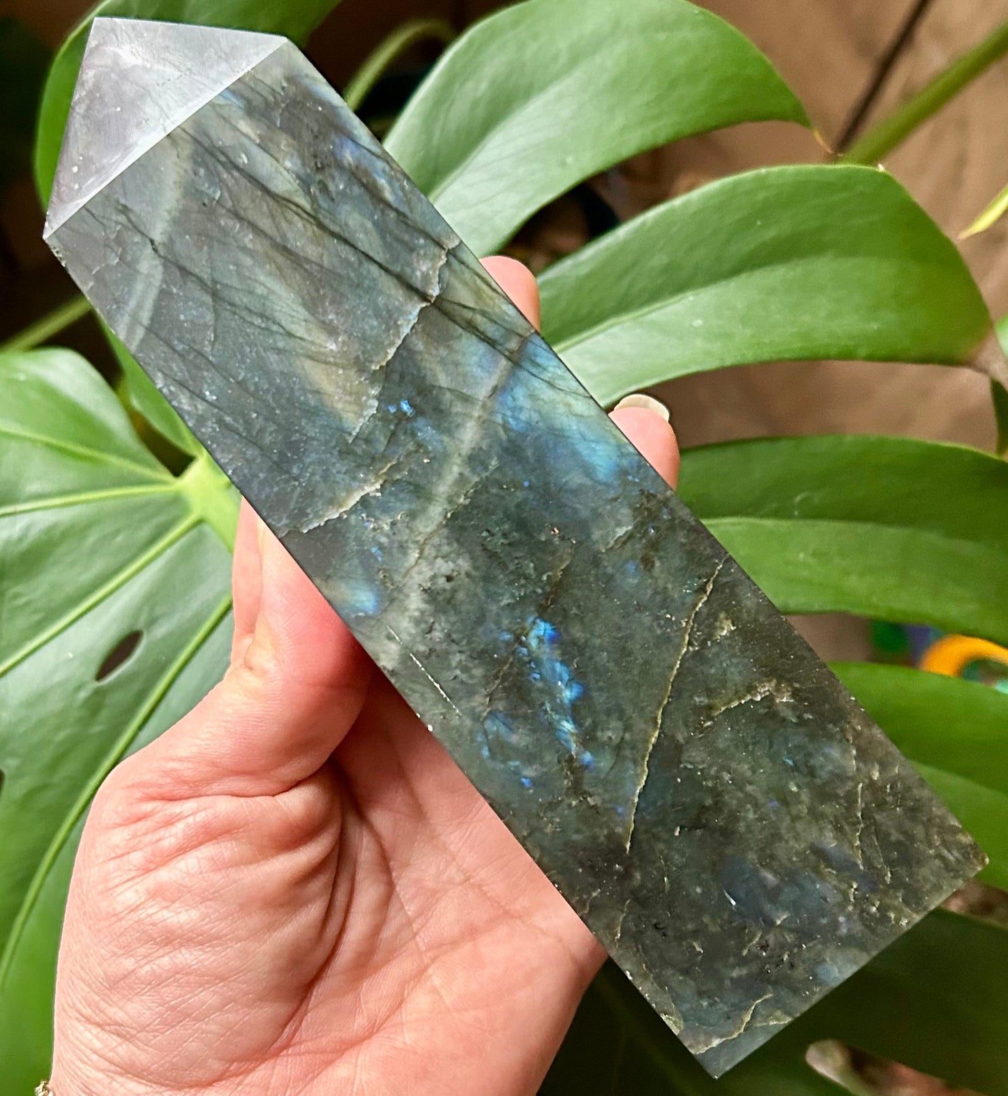 Hand holding a crystal with green leaves in the background