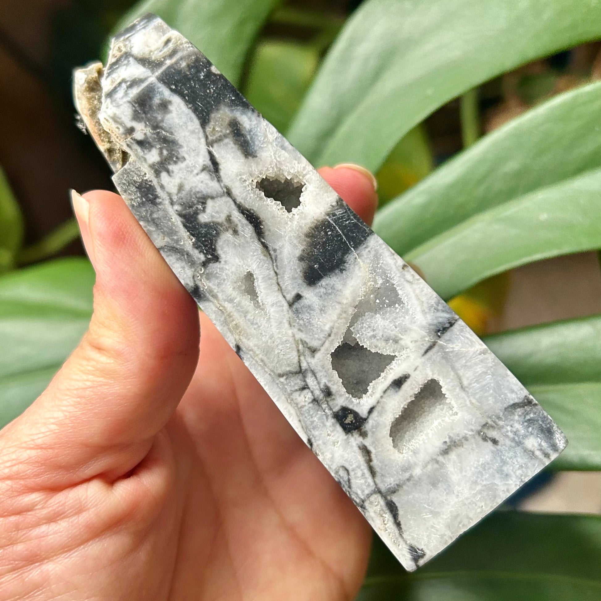 Hand holding a piece of stone with a natural pattern against a blurred green plant background