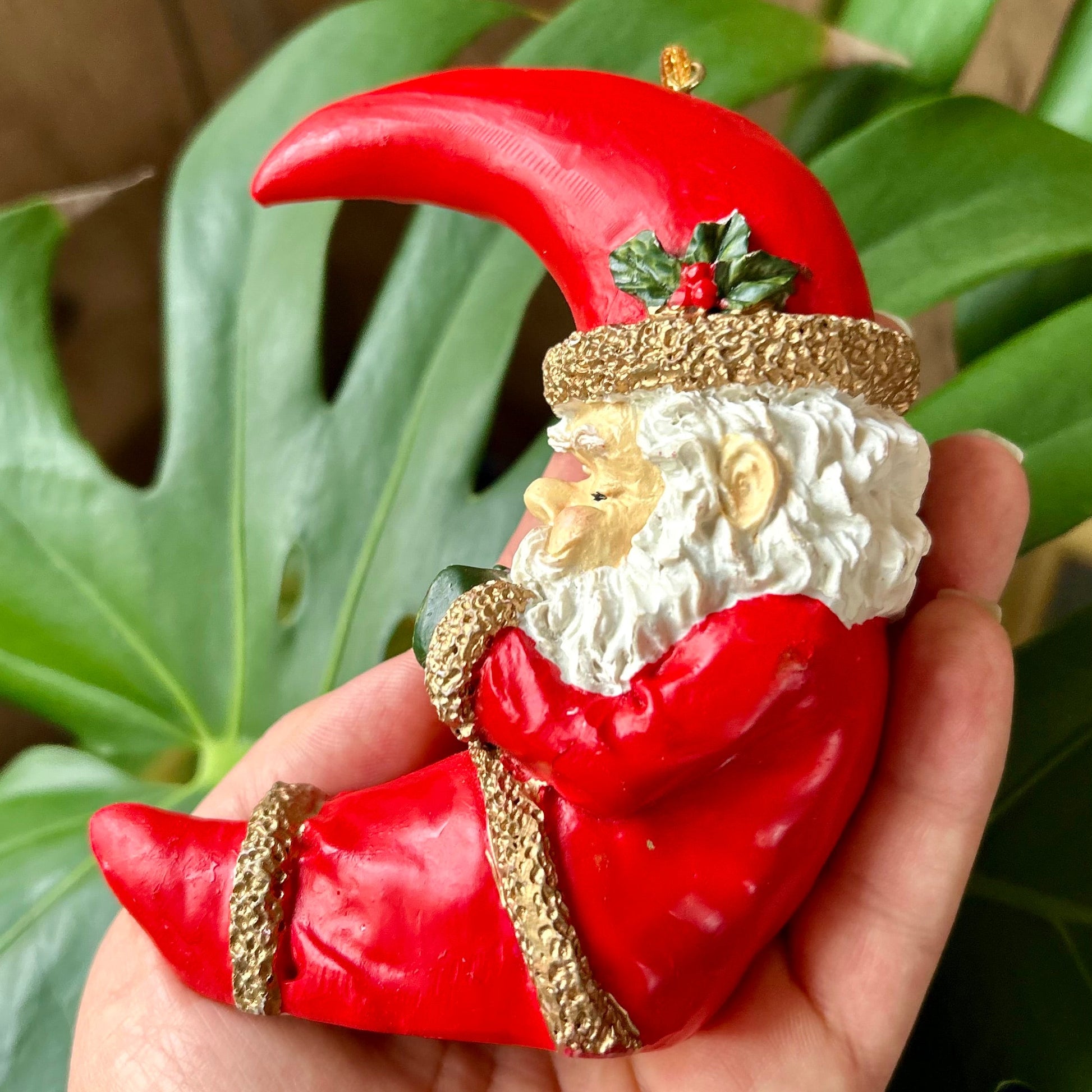 Red and white Santa Claus figurine held in a hand with green leaves in the background