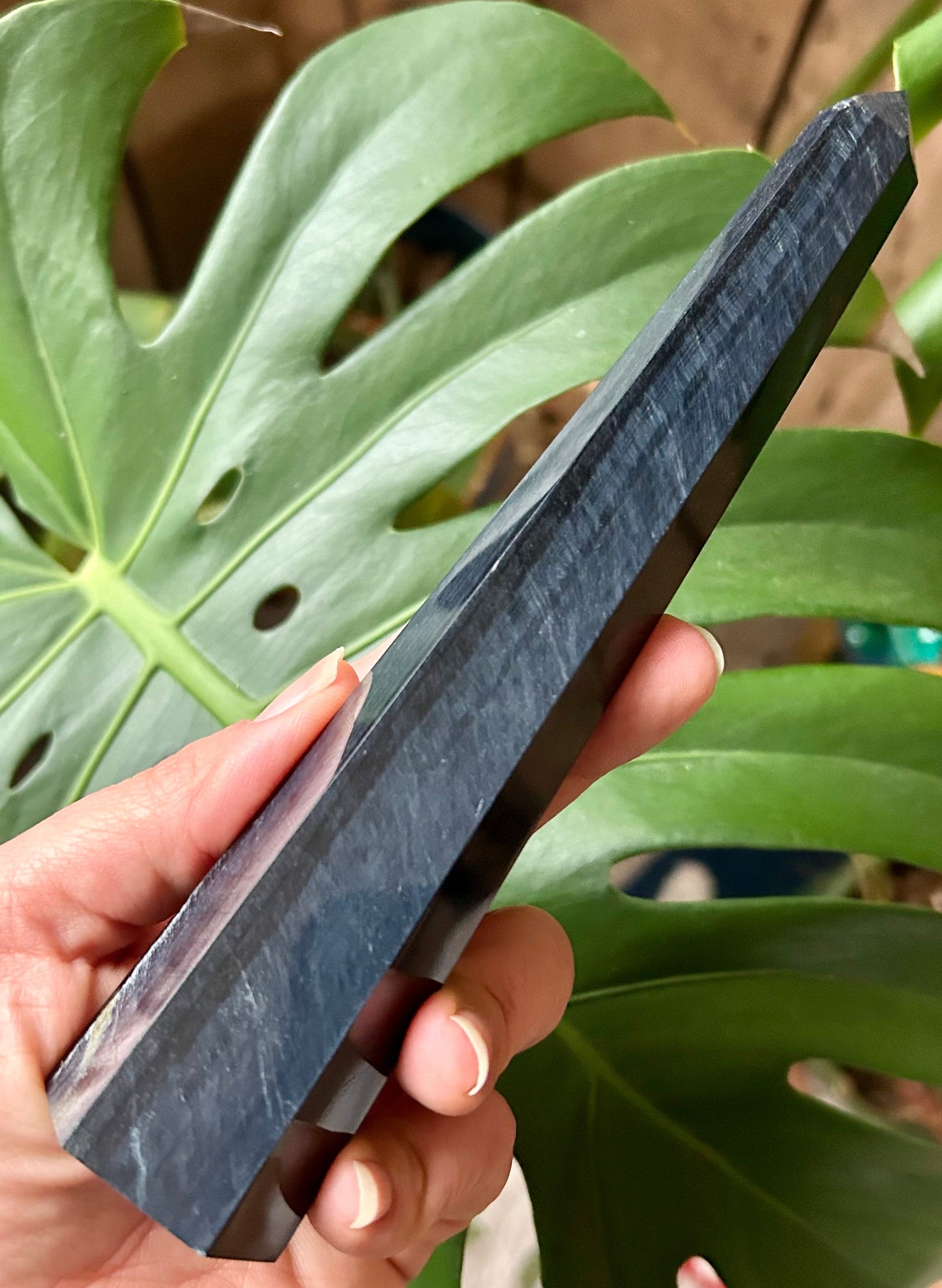 Person holding a dark stone slab with green leaves in the background