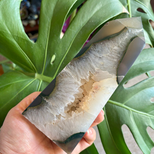 Hand holding a piece of white radish with green leaves in the background