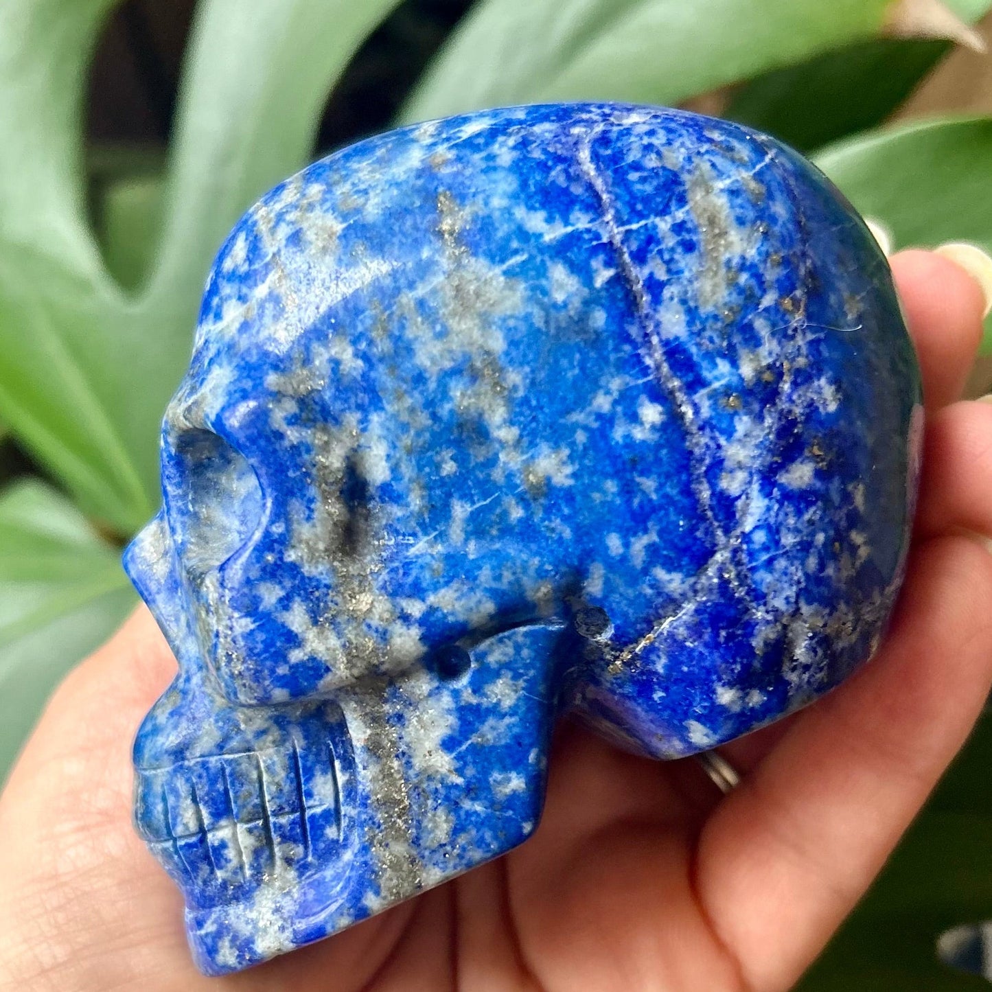 Hand holding a blue stone skull with green leaves in the background