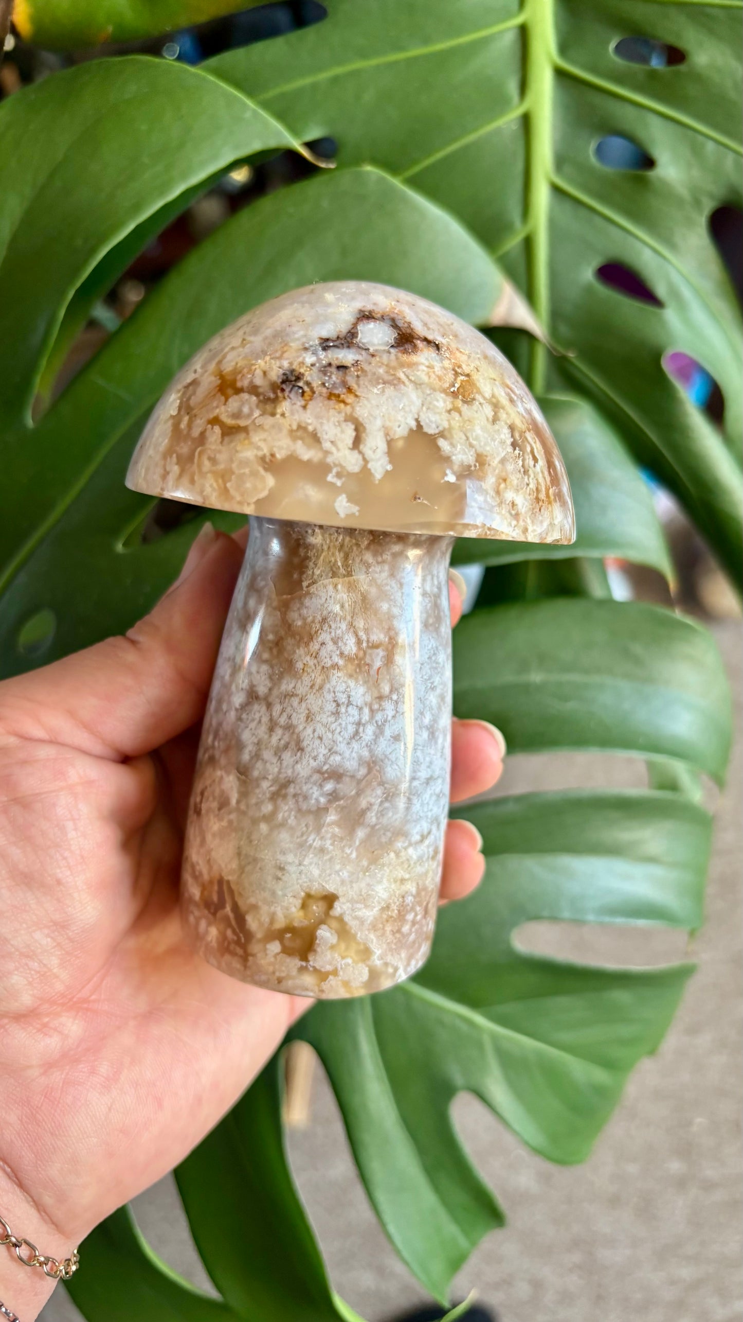 Flower Agate Mushroom