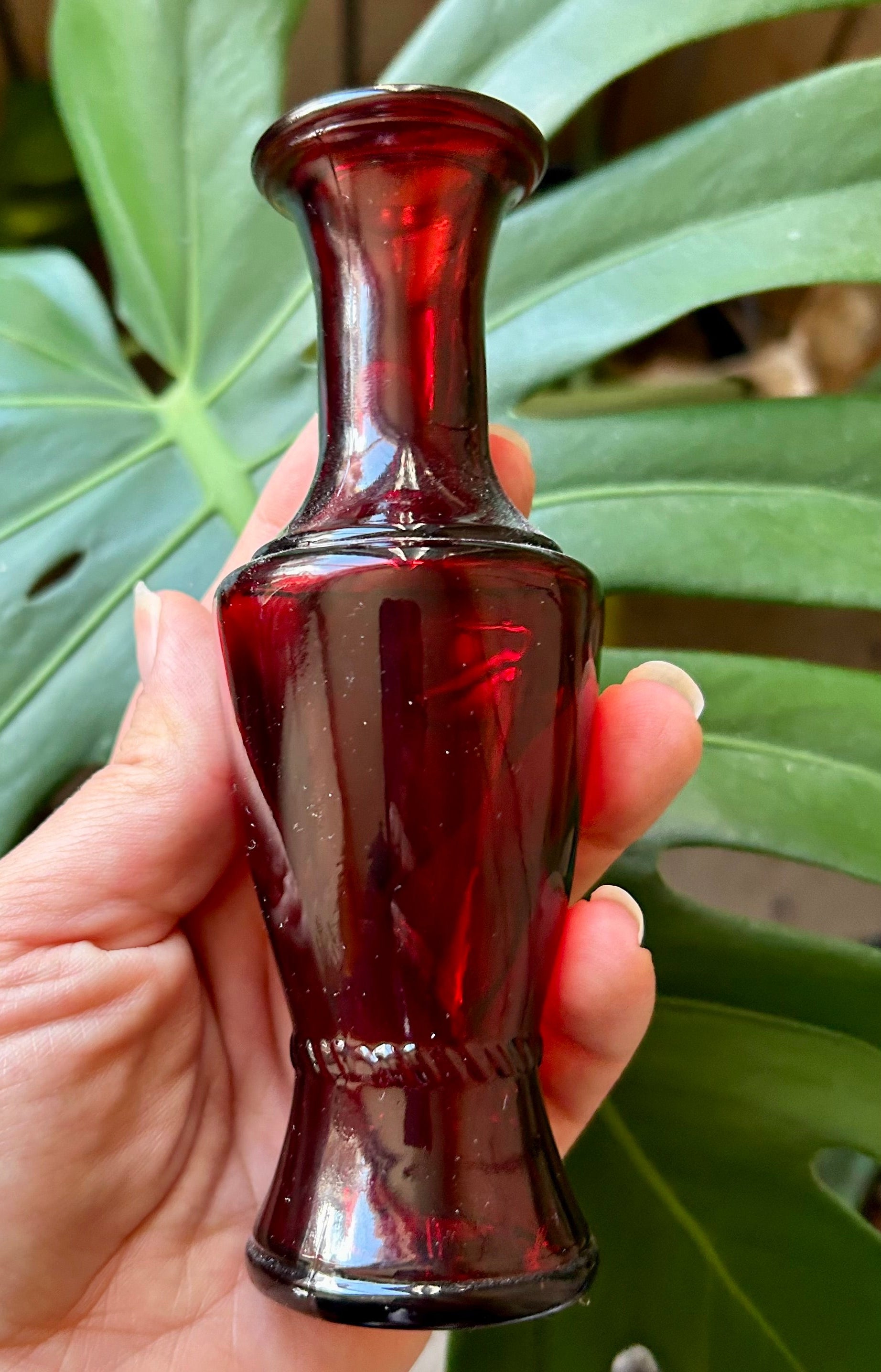 Hand holding a red glass bottle with green leaves in the background