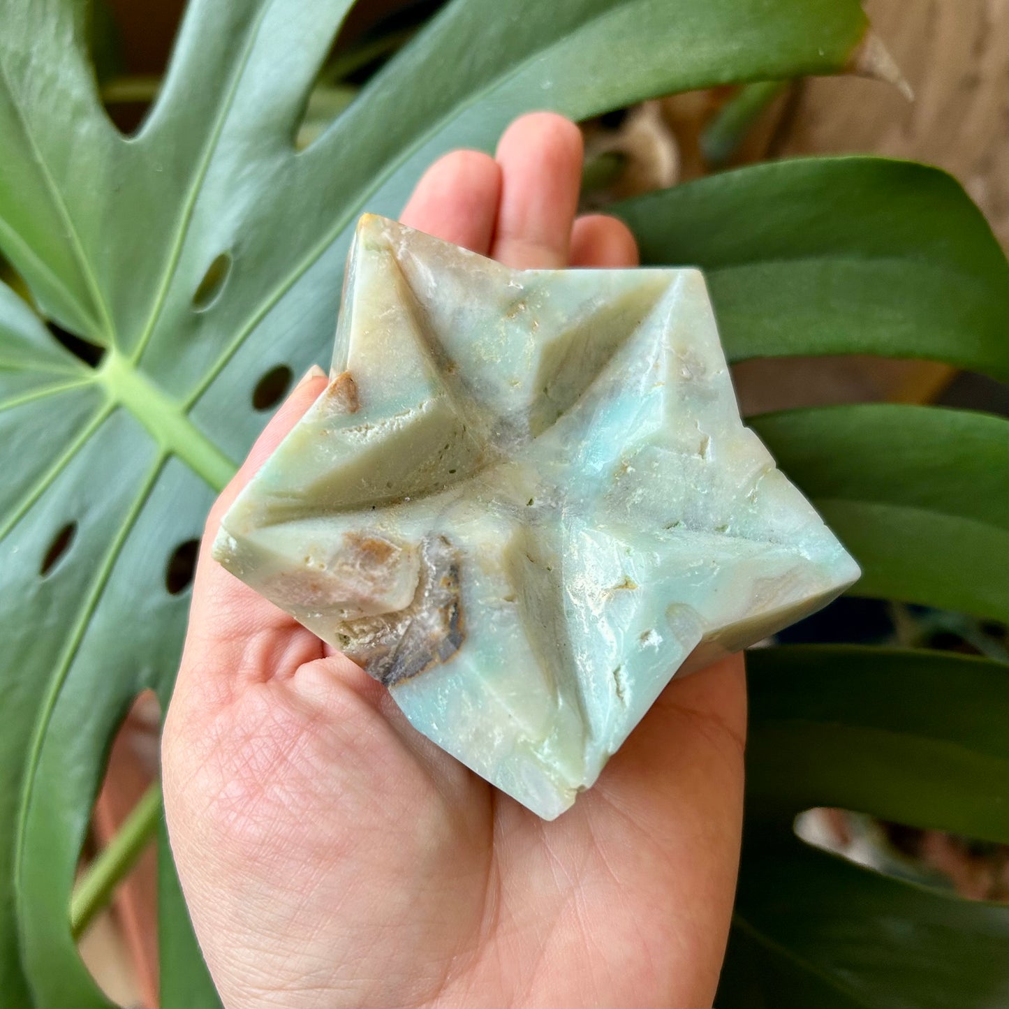 Hand holding a star-shaped green soap bar with a leafy background