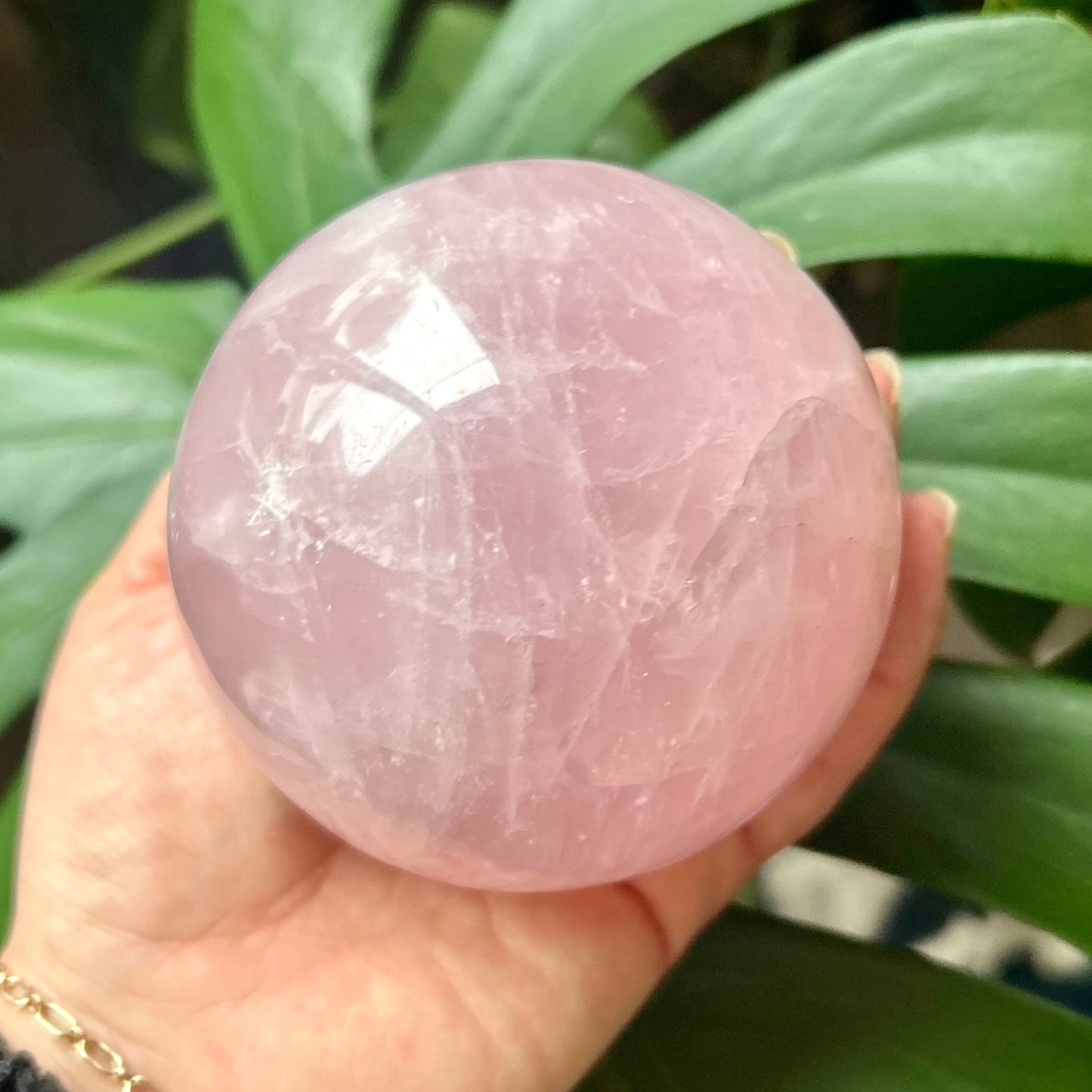 Hand holding a pink crystal ball with green leaves in the background