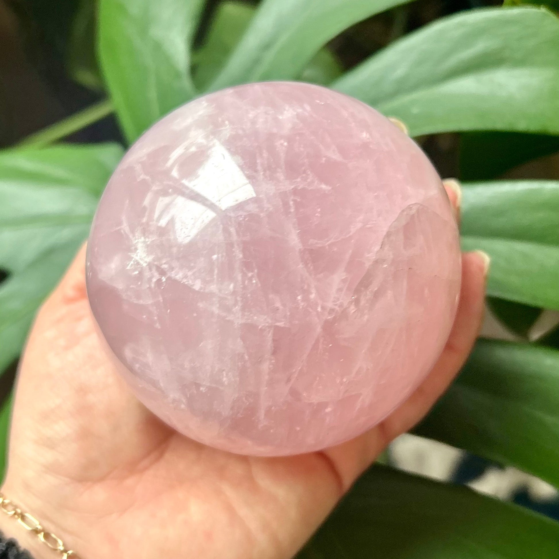 Hand holding a pink crystal ball with green leaves in the background