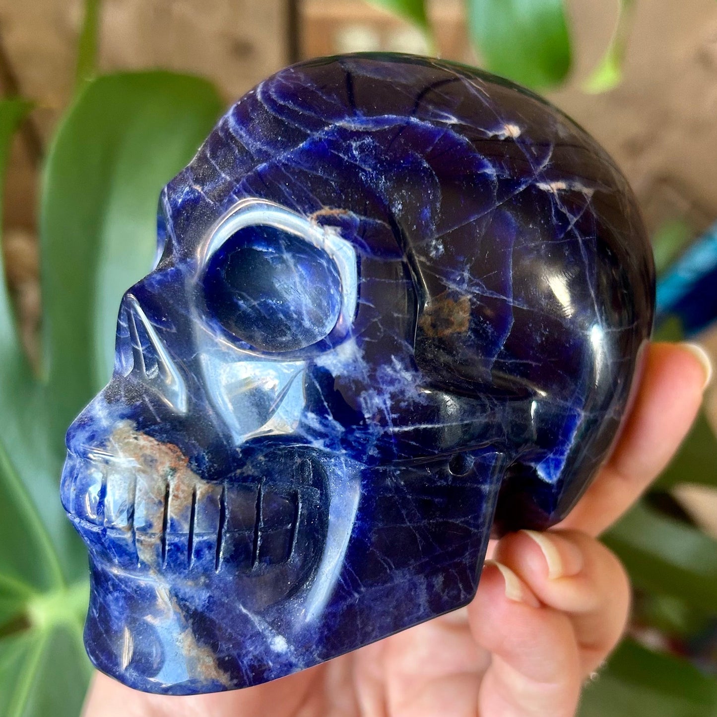 Blue crystal skull held in a hand with a blurred green plant background