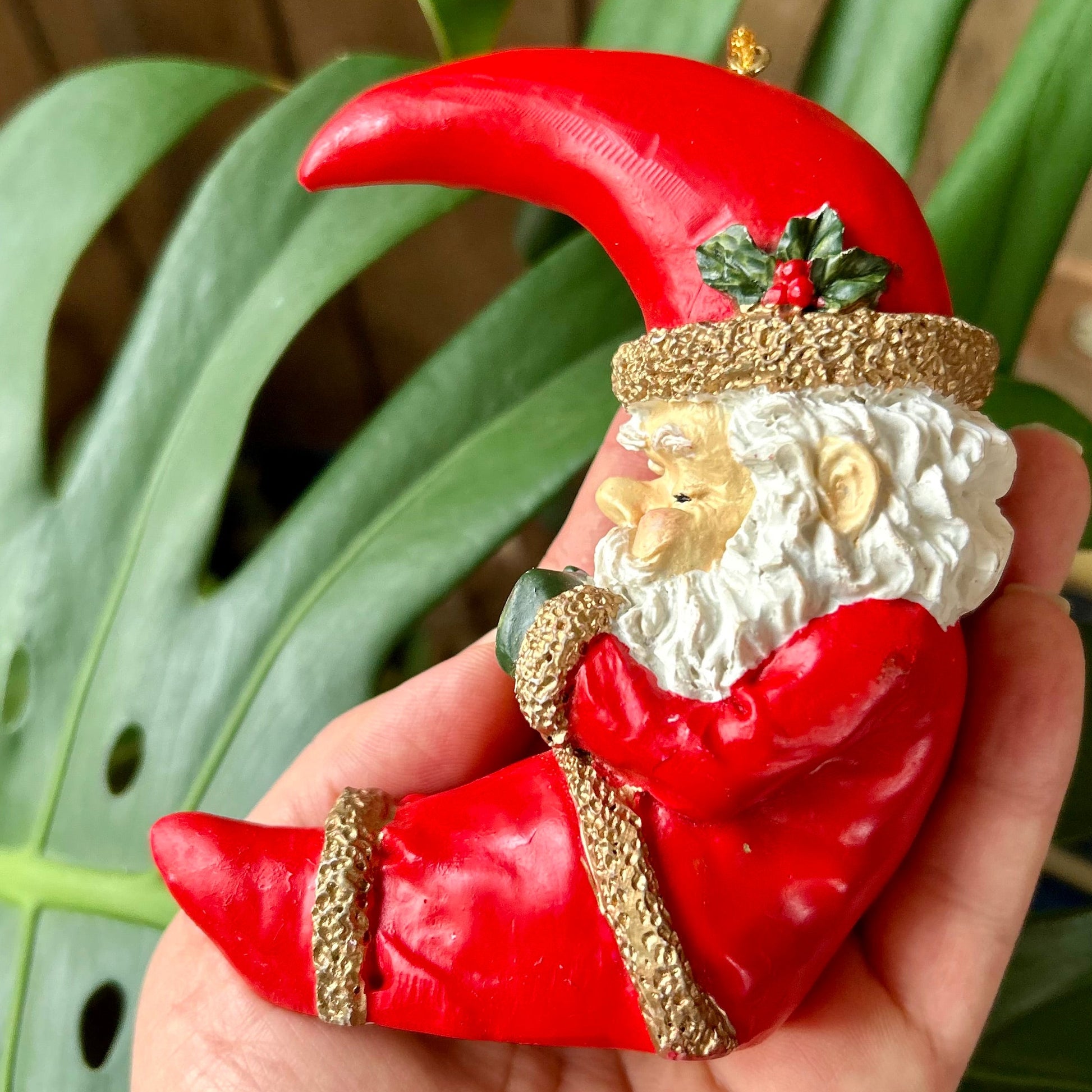 Decorative red pepper shaped like Santa Claus held by a hand with a green plant background