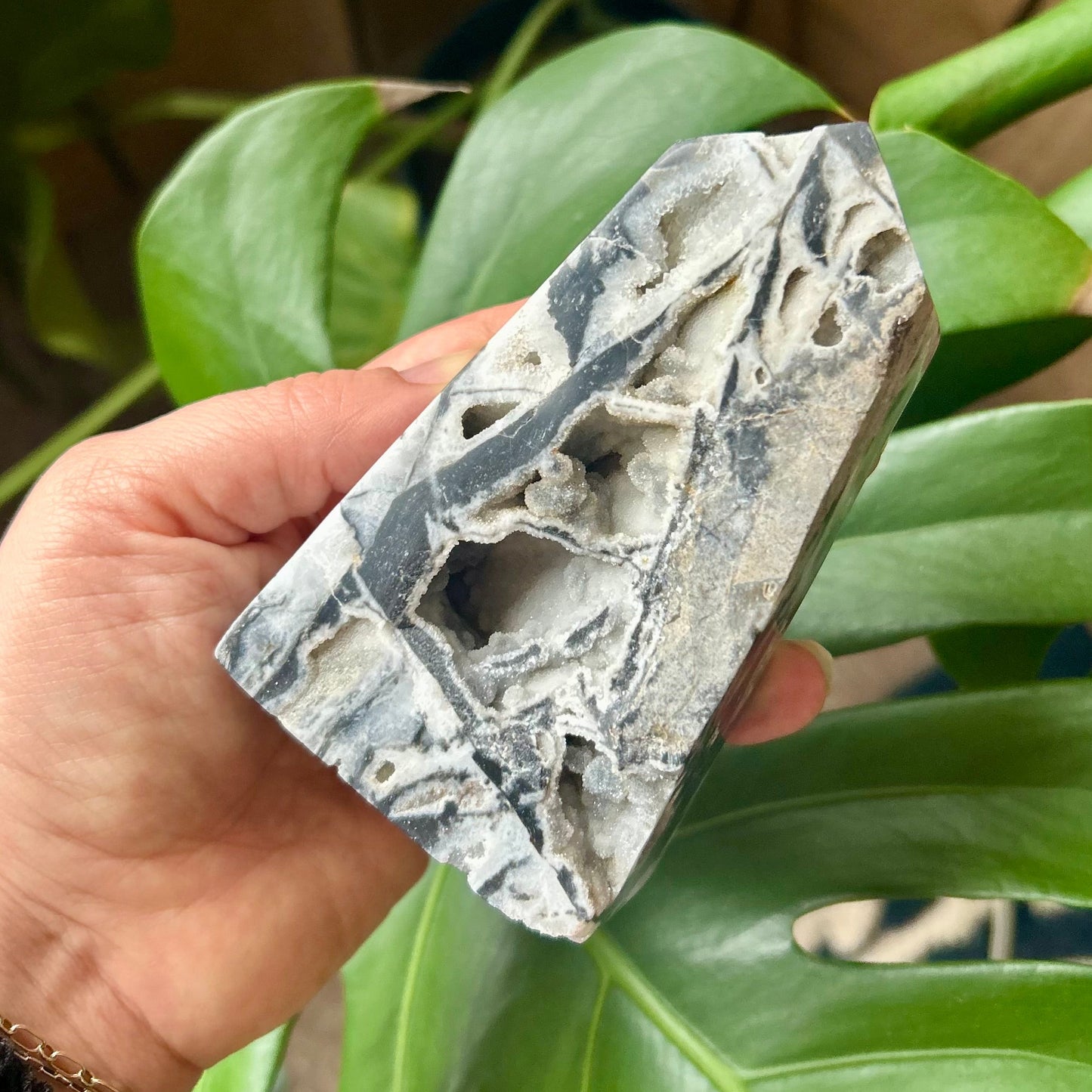 Hand holding a decorative stone in front of a green plant with a wooden background