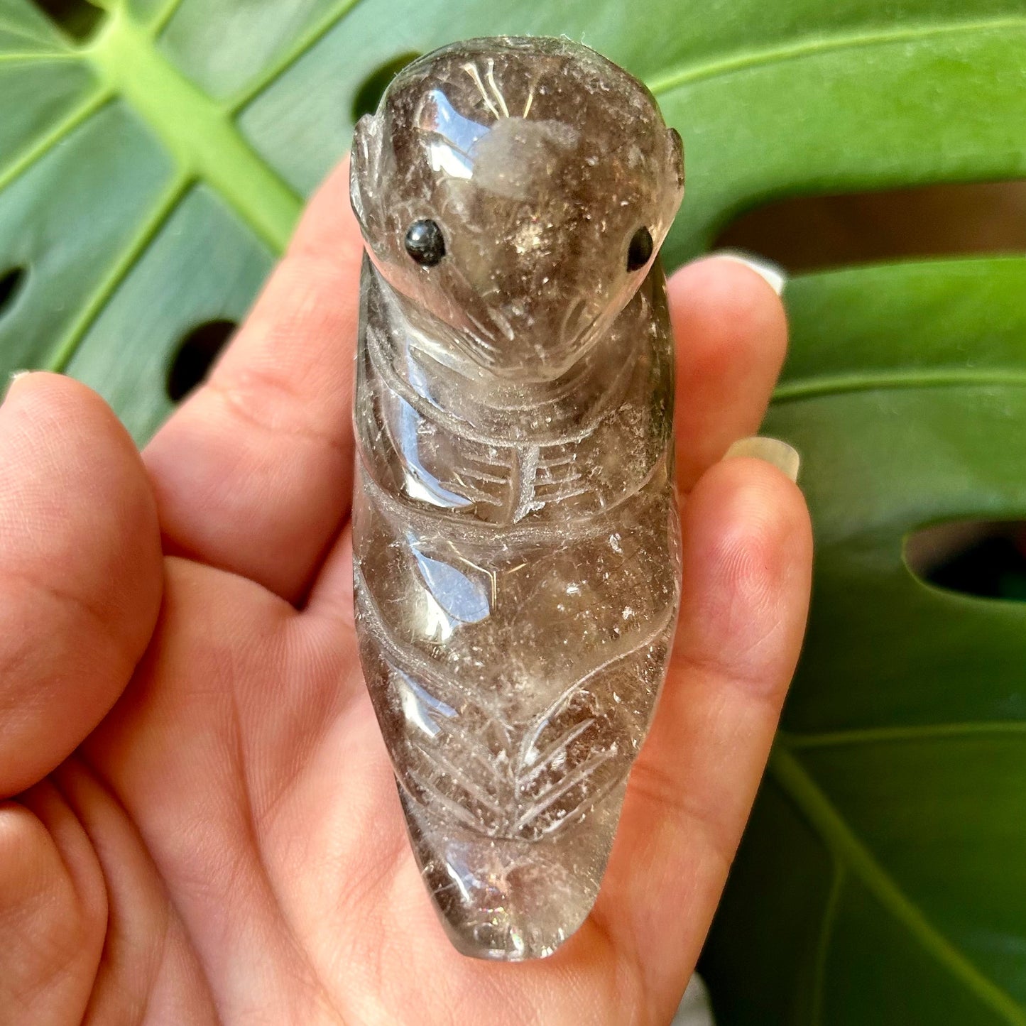 Crystal insect figurine held in a hand with a green leafy background