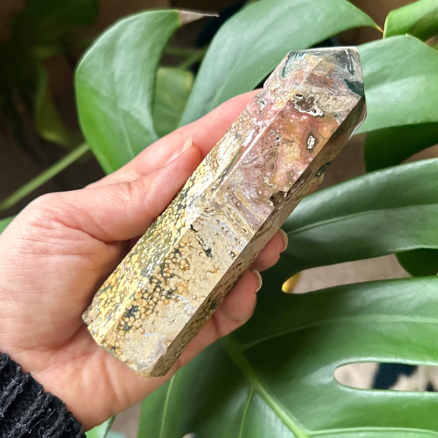 Hand holding a polished crystal against a green leafy background