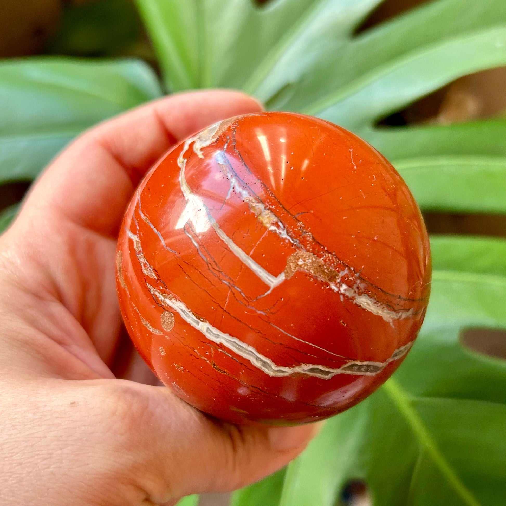 Hand holding a red and white striped sphere with green leaves in the background