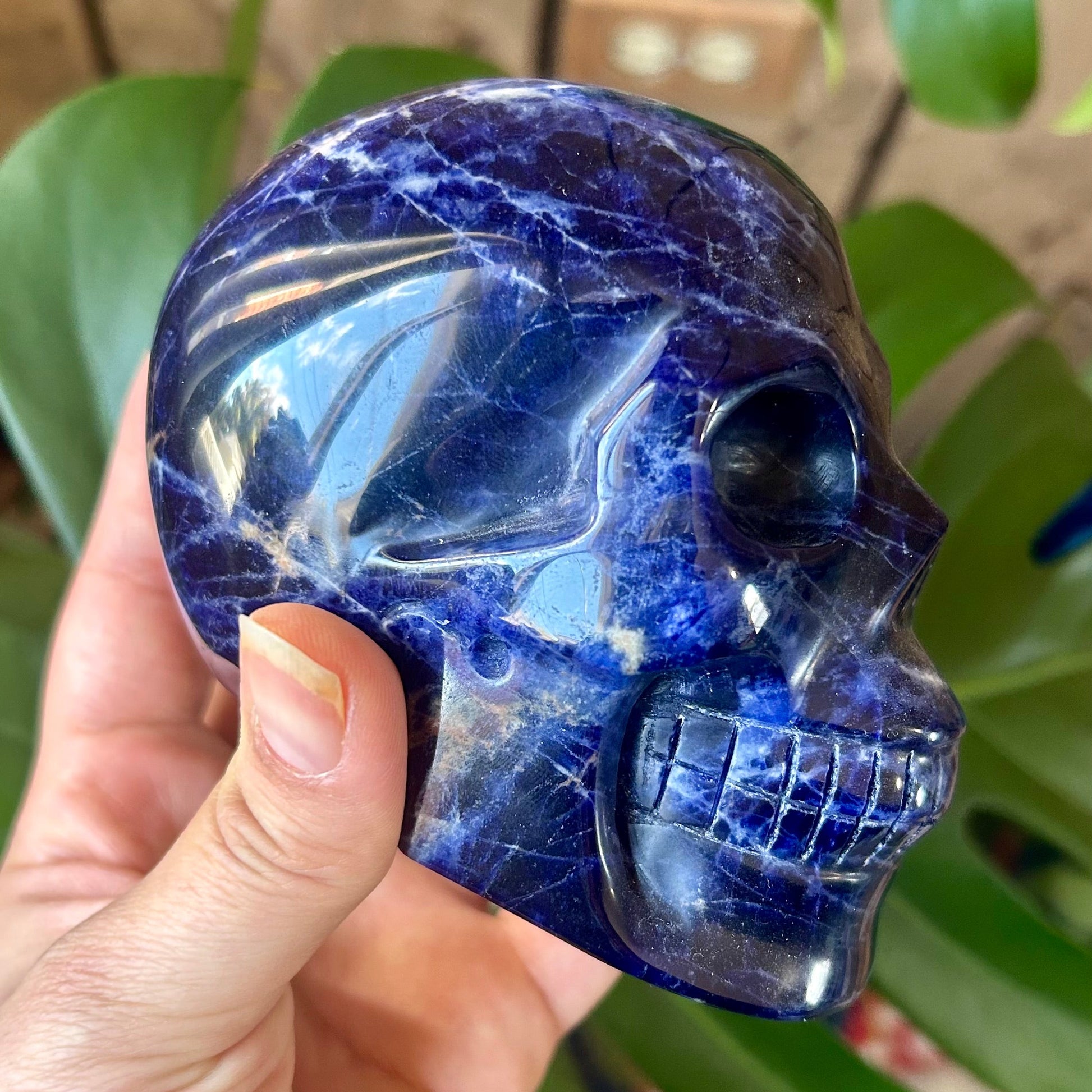 Blue crystal skull held by a hand with a blurred green plant background