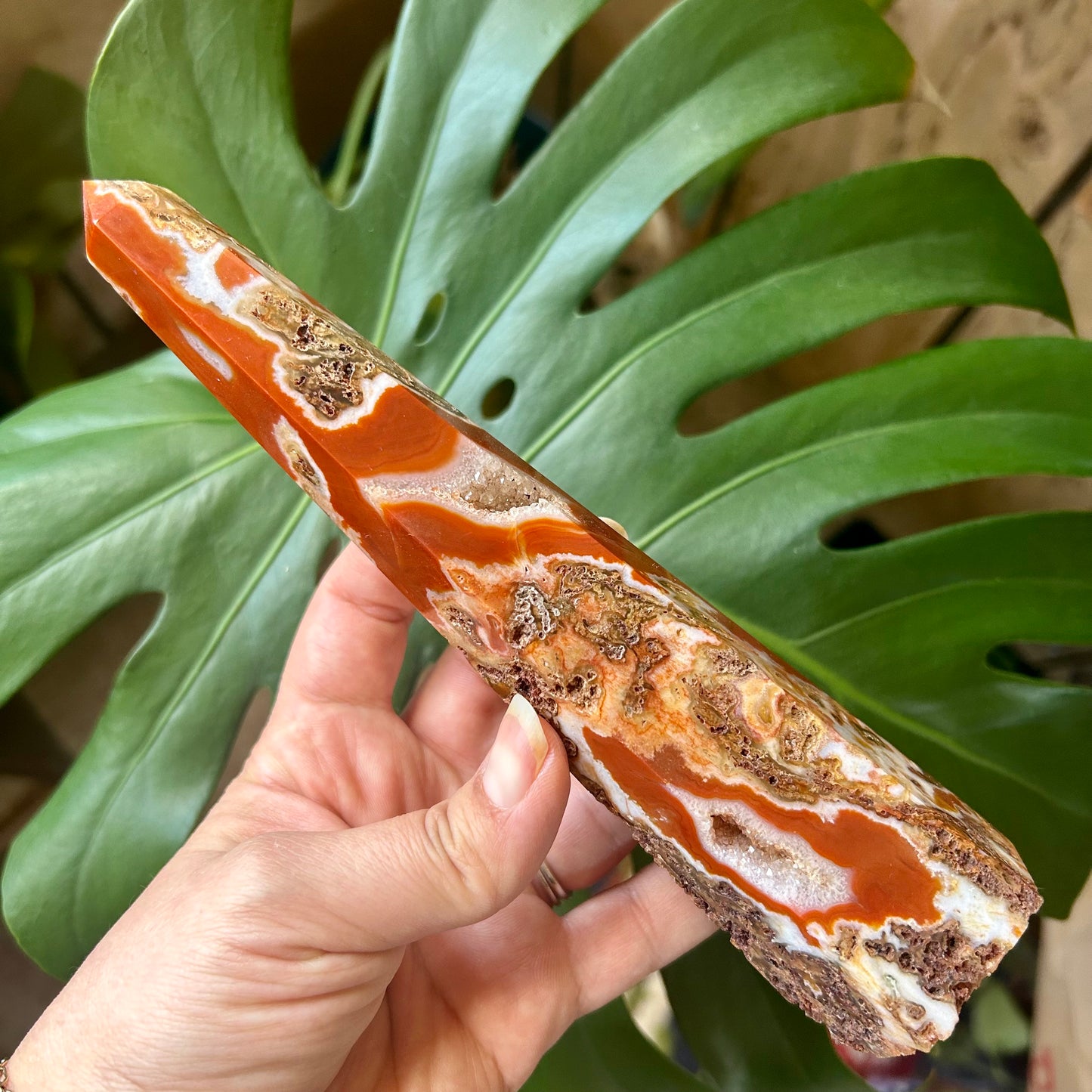 Hand holding a polished crystal with orange and white patterns against a green leaf background