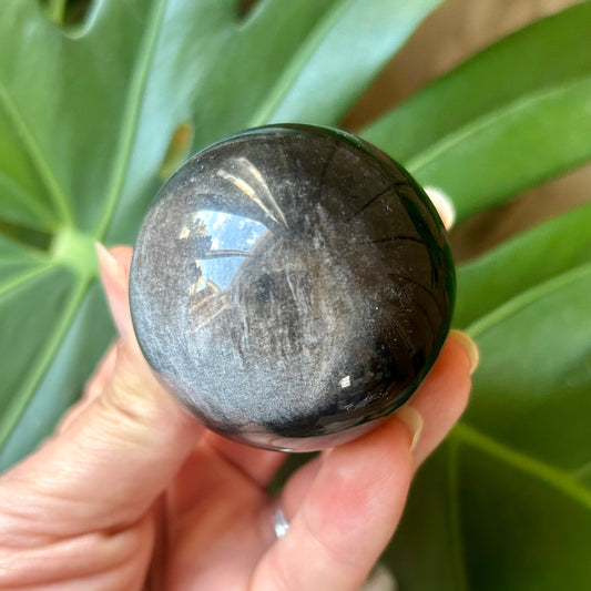 Hand holding a dark stone with green leaves in the background
