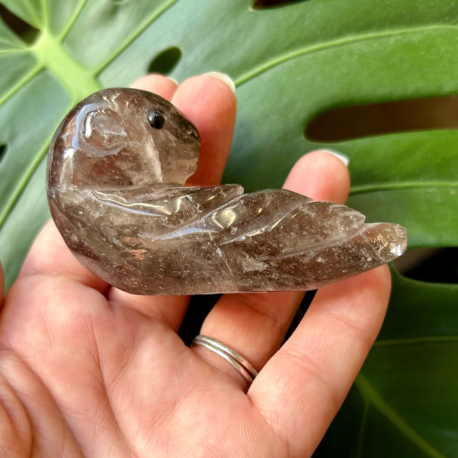 Hand holding a crystal-shaped stone with a leafy background