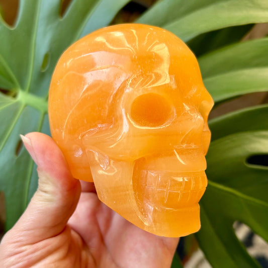 Hand holding a yellow crystal skull against a green leafy background