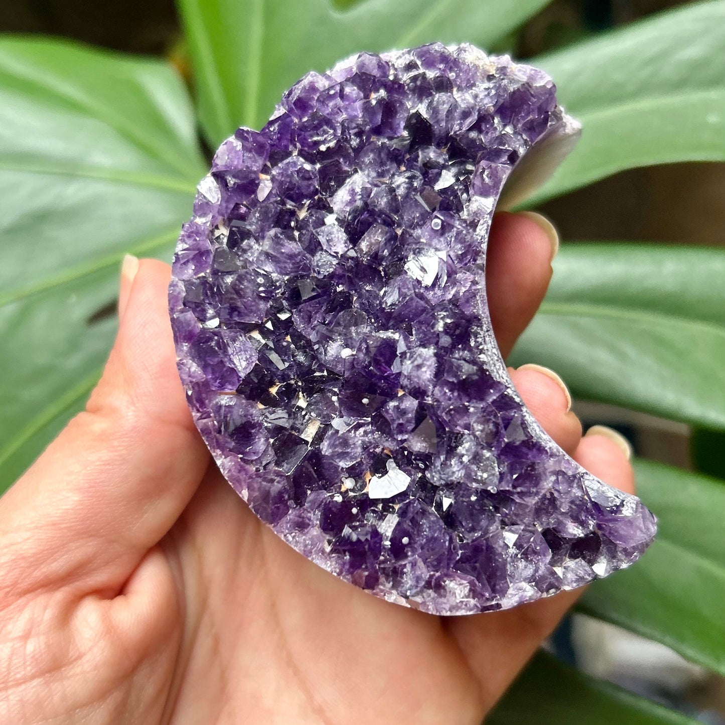 Hand holding a purple crystal rock with green leaves in the background