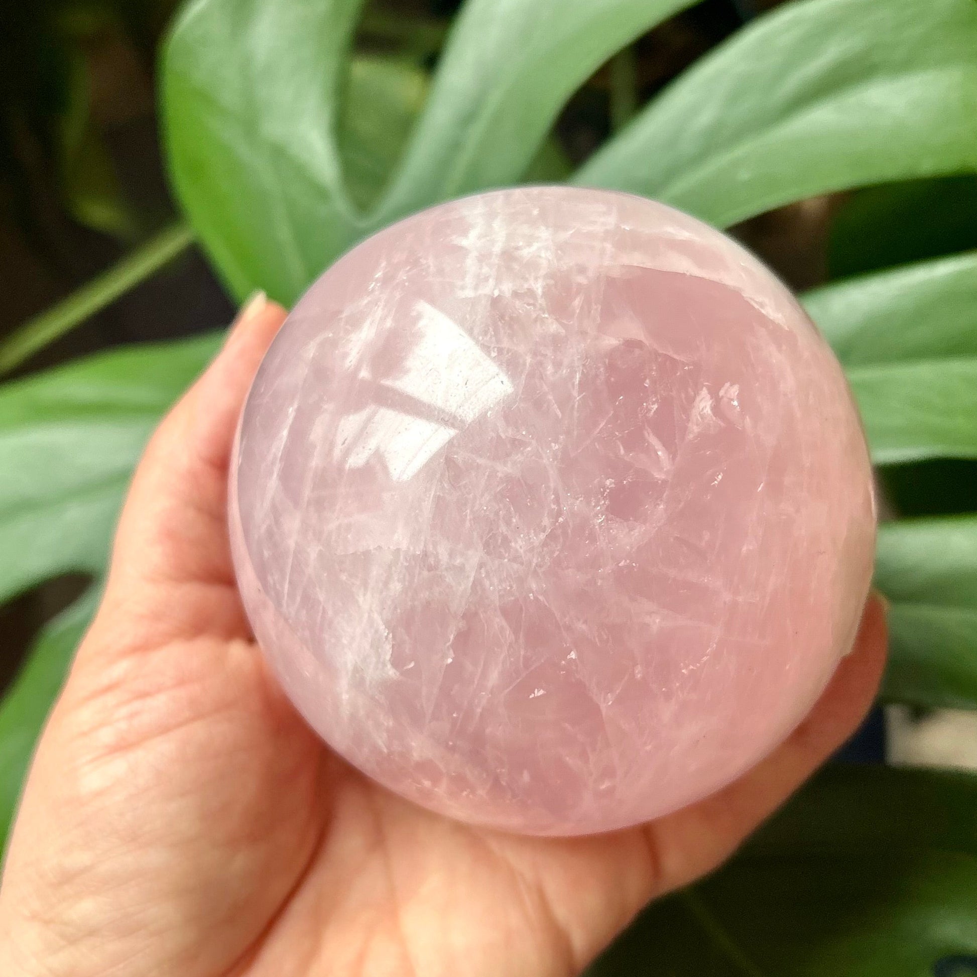 Hand holding a pink crystal ball with green leaves in the background